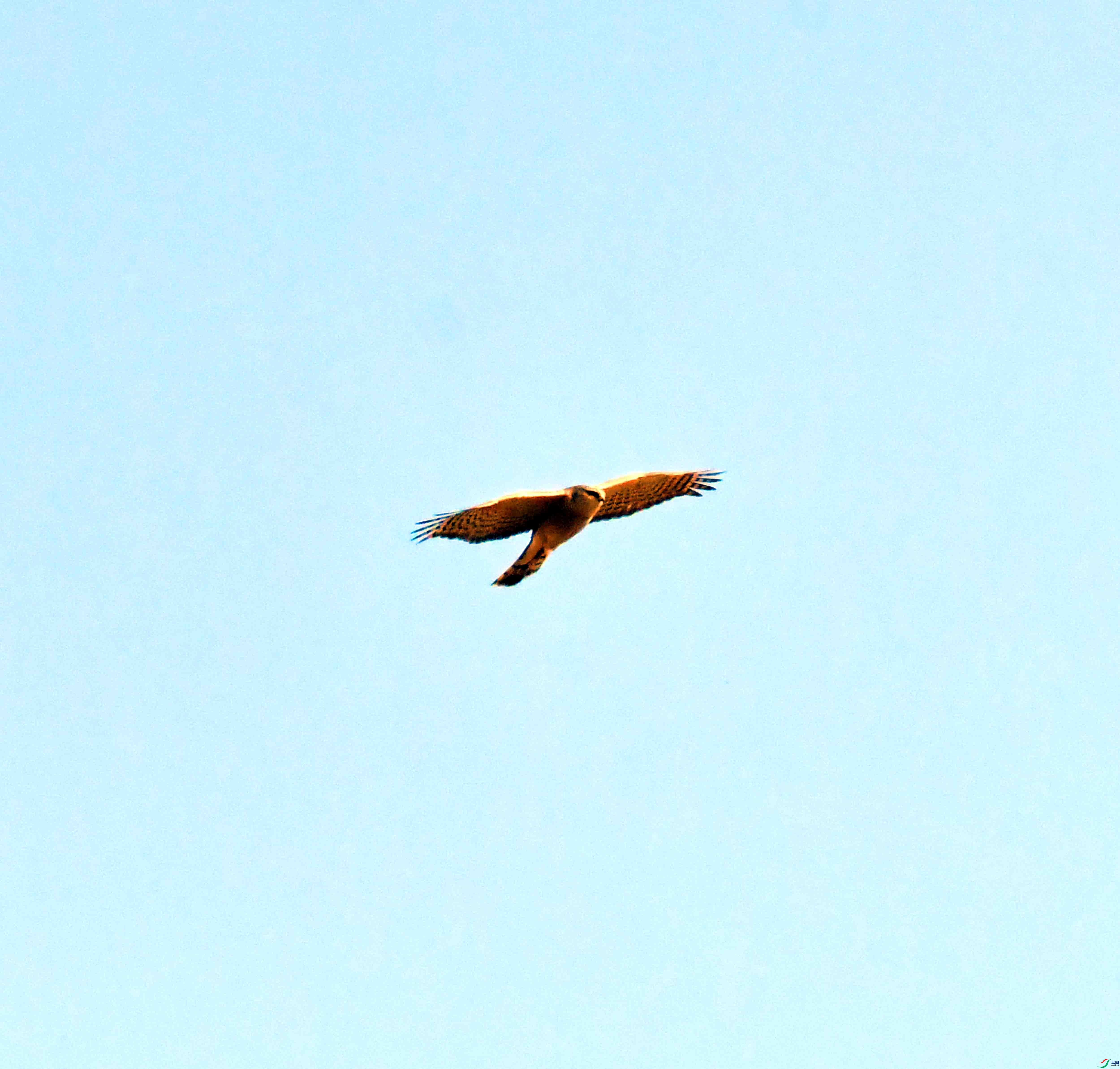 DSC_1091.JPG