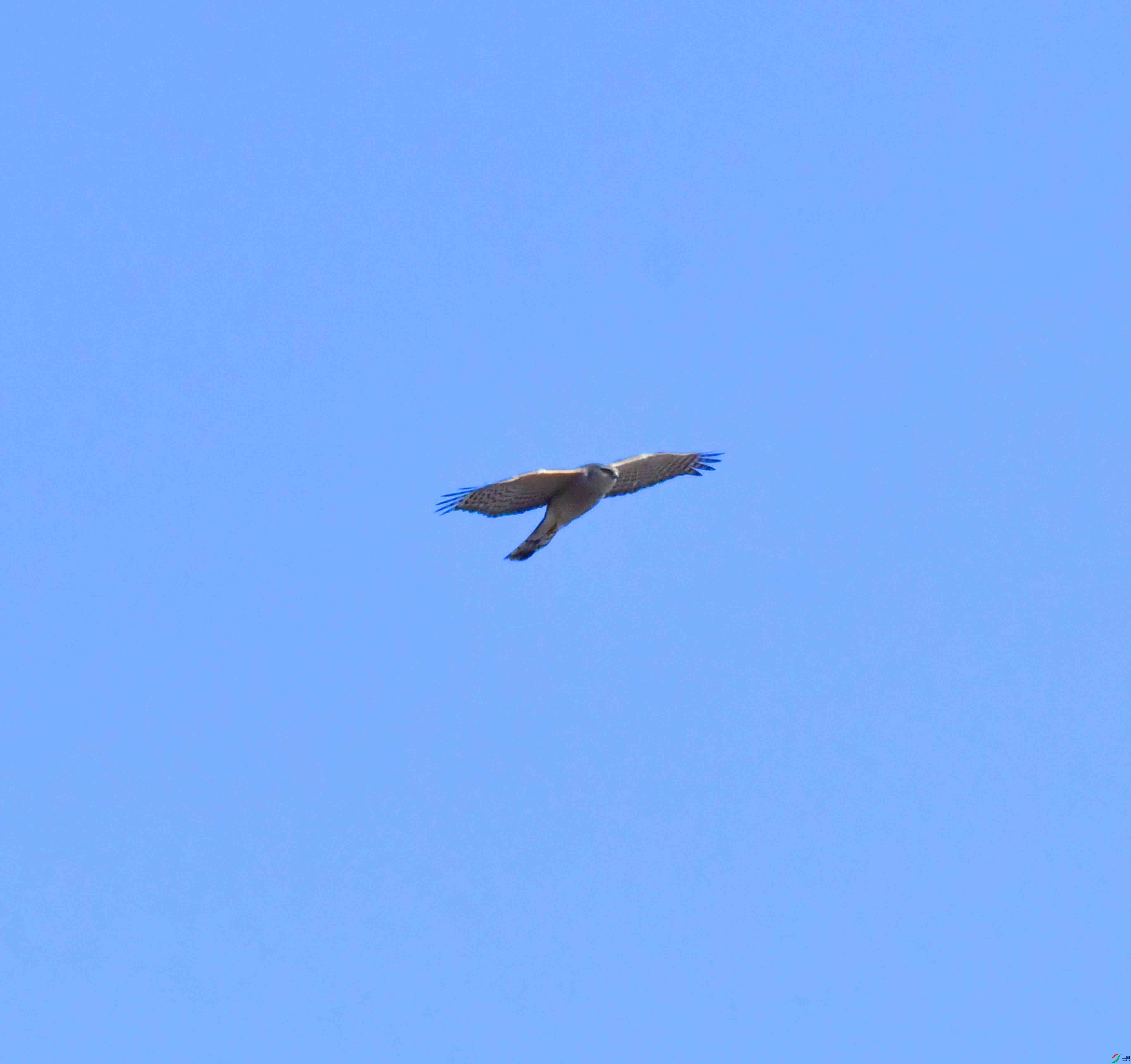 DSC_1090.JPG