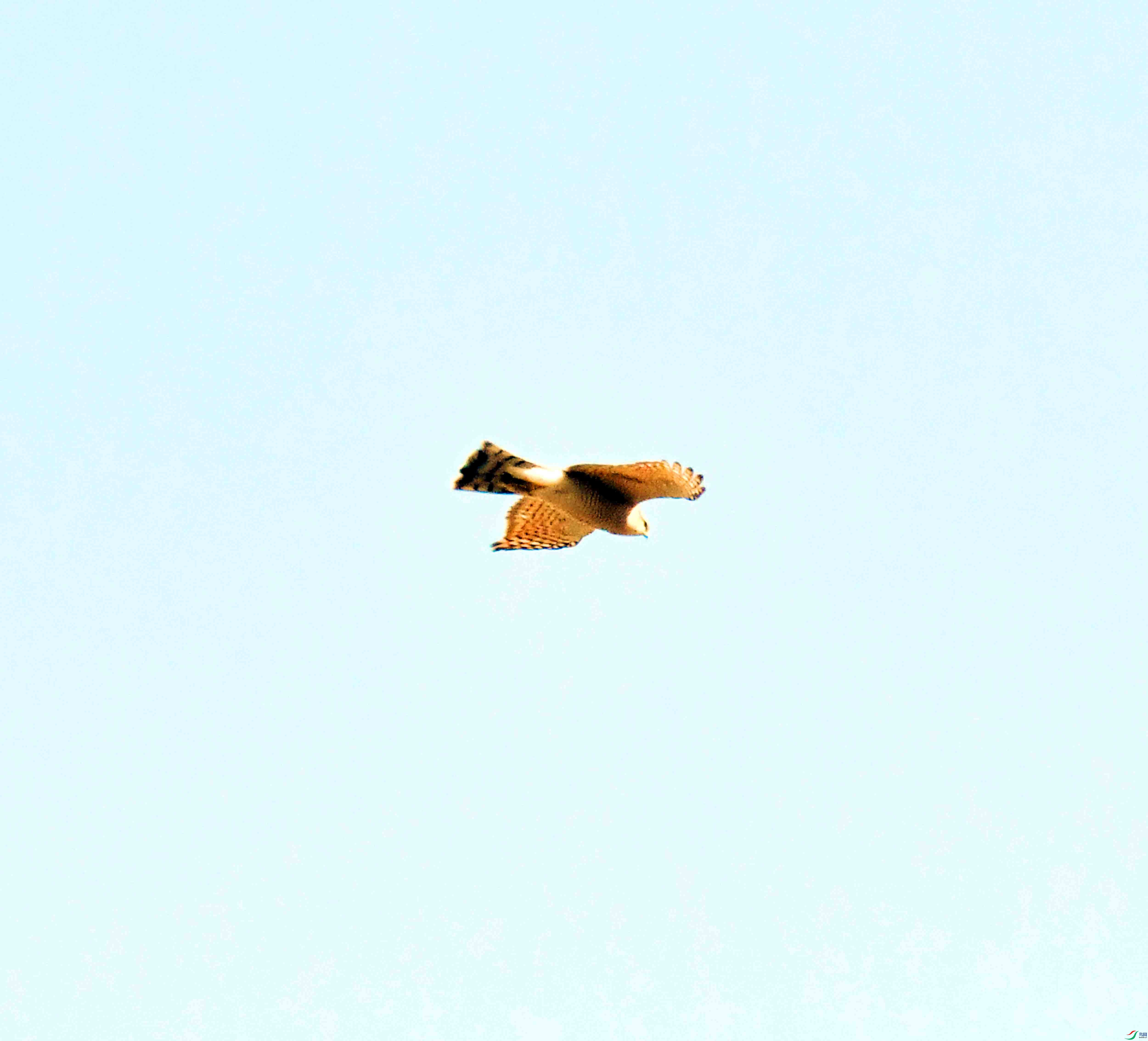 DSC_1089.JPG