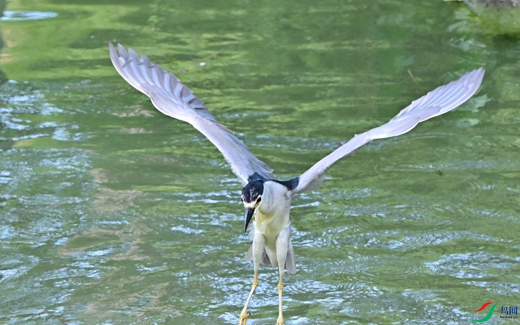 DSC_4876.JPG