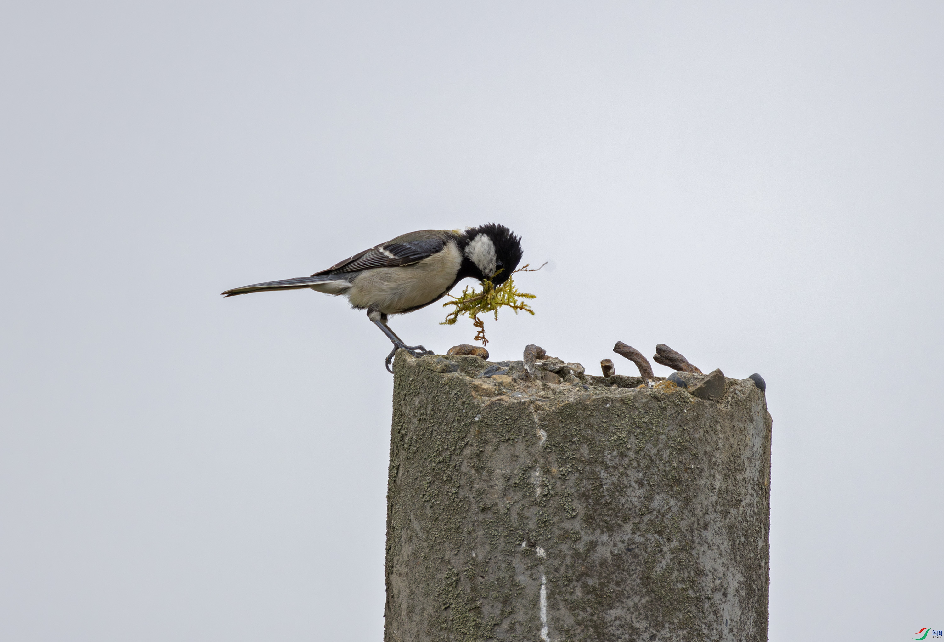 2I1A0603-����ǿ-NR ����.jpg