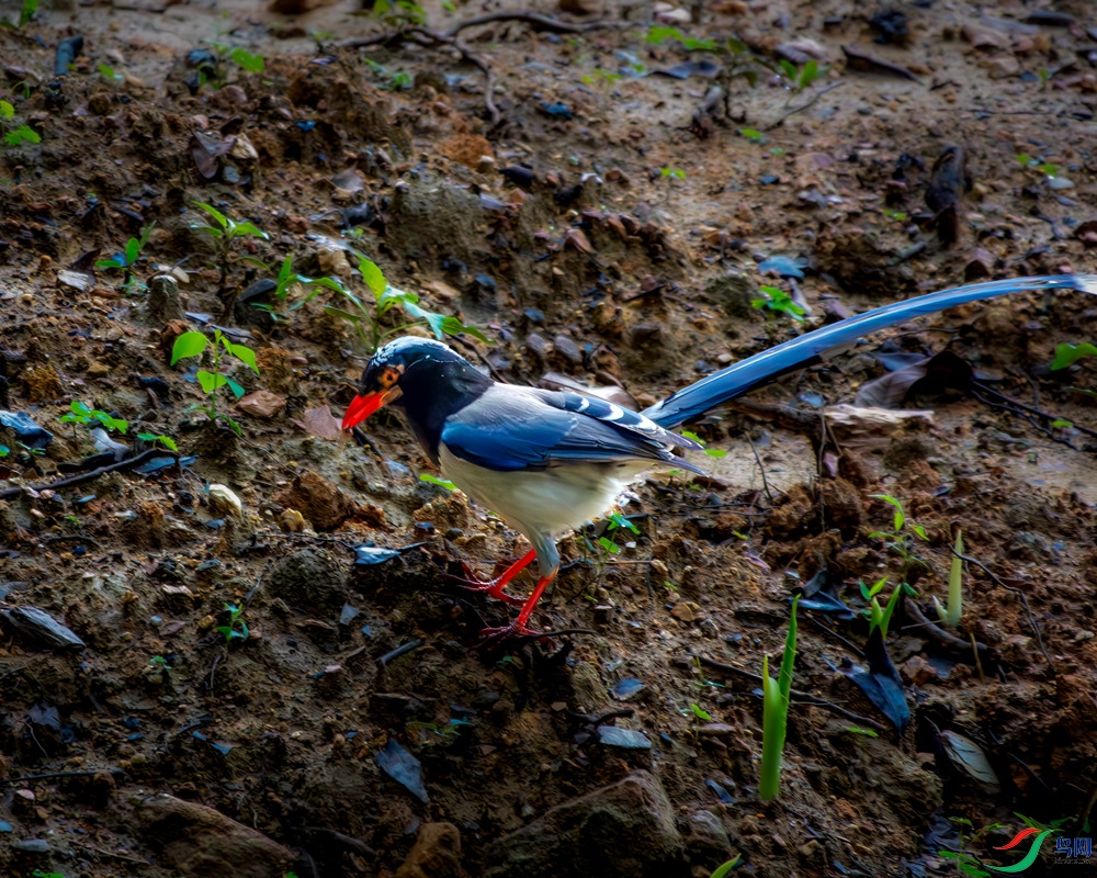 _DSC7231.jpg