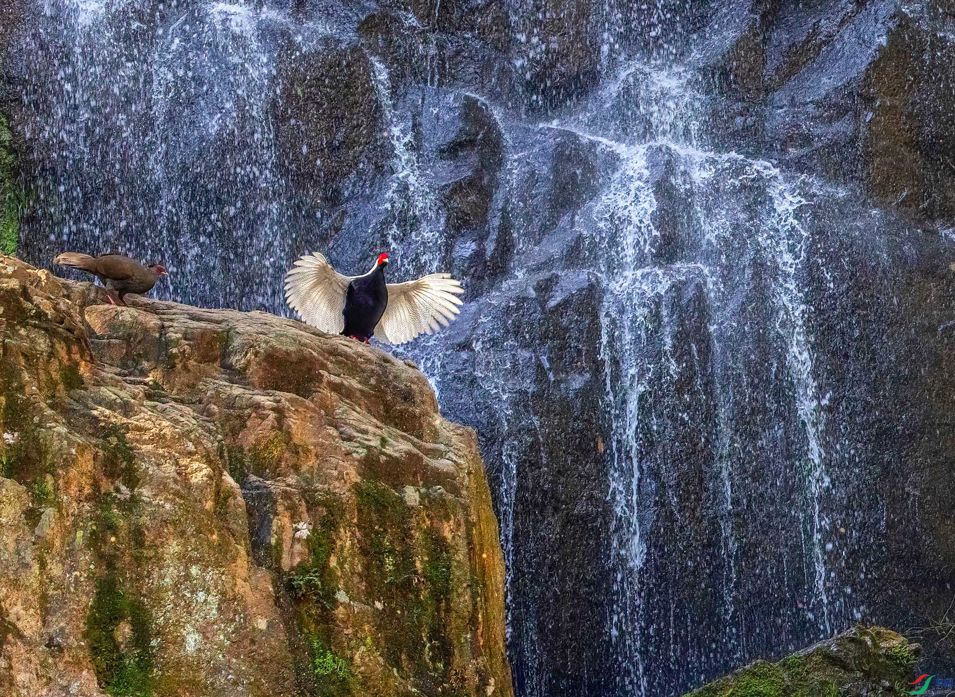 060A1784 ����-Sh----1 .jpg