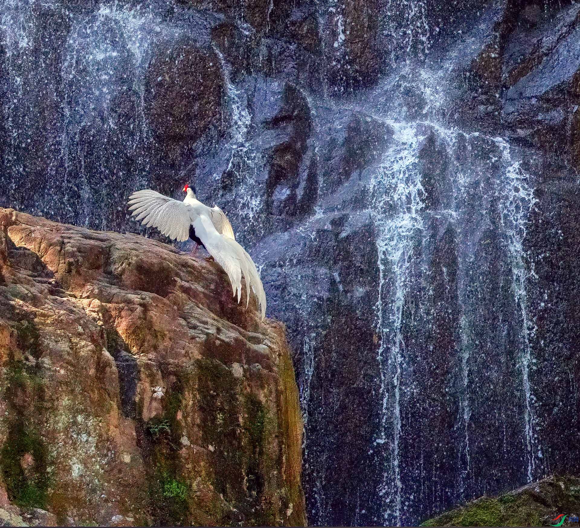 060A2000 ����-Sh----1 .jpg