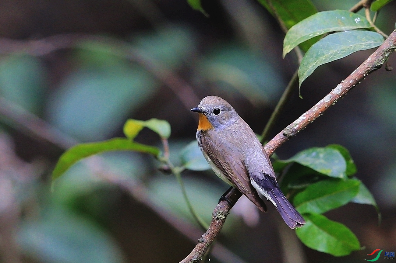 ���� IMGL8759�� ��.JPG