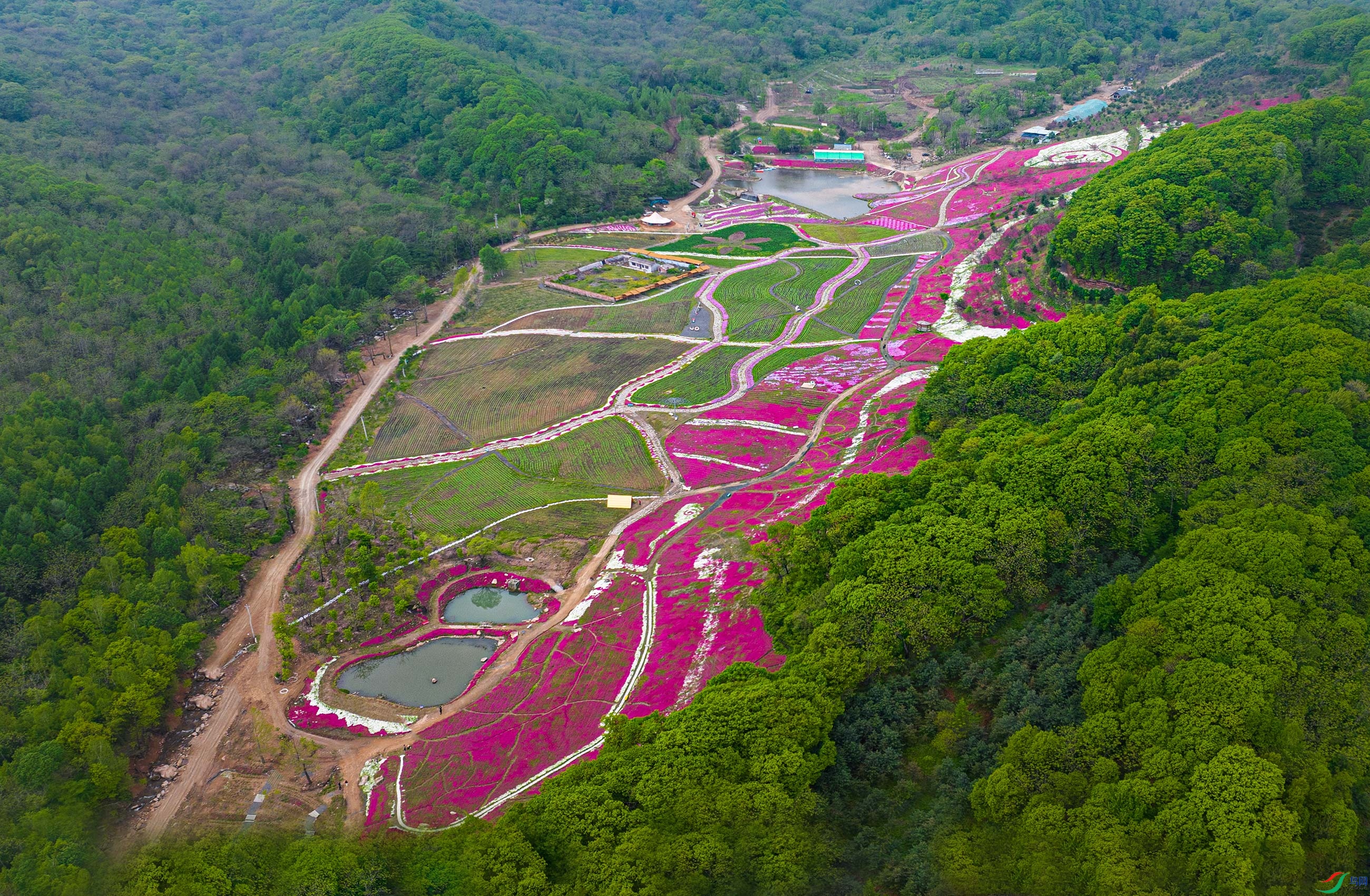 DJI_20250519103301_0033_D.jpg