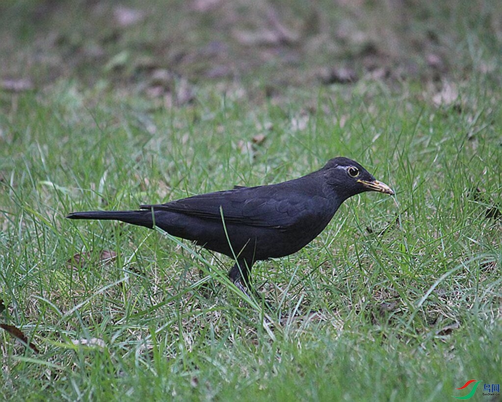 Image_1747556423980.jpg