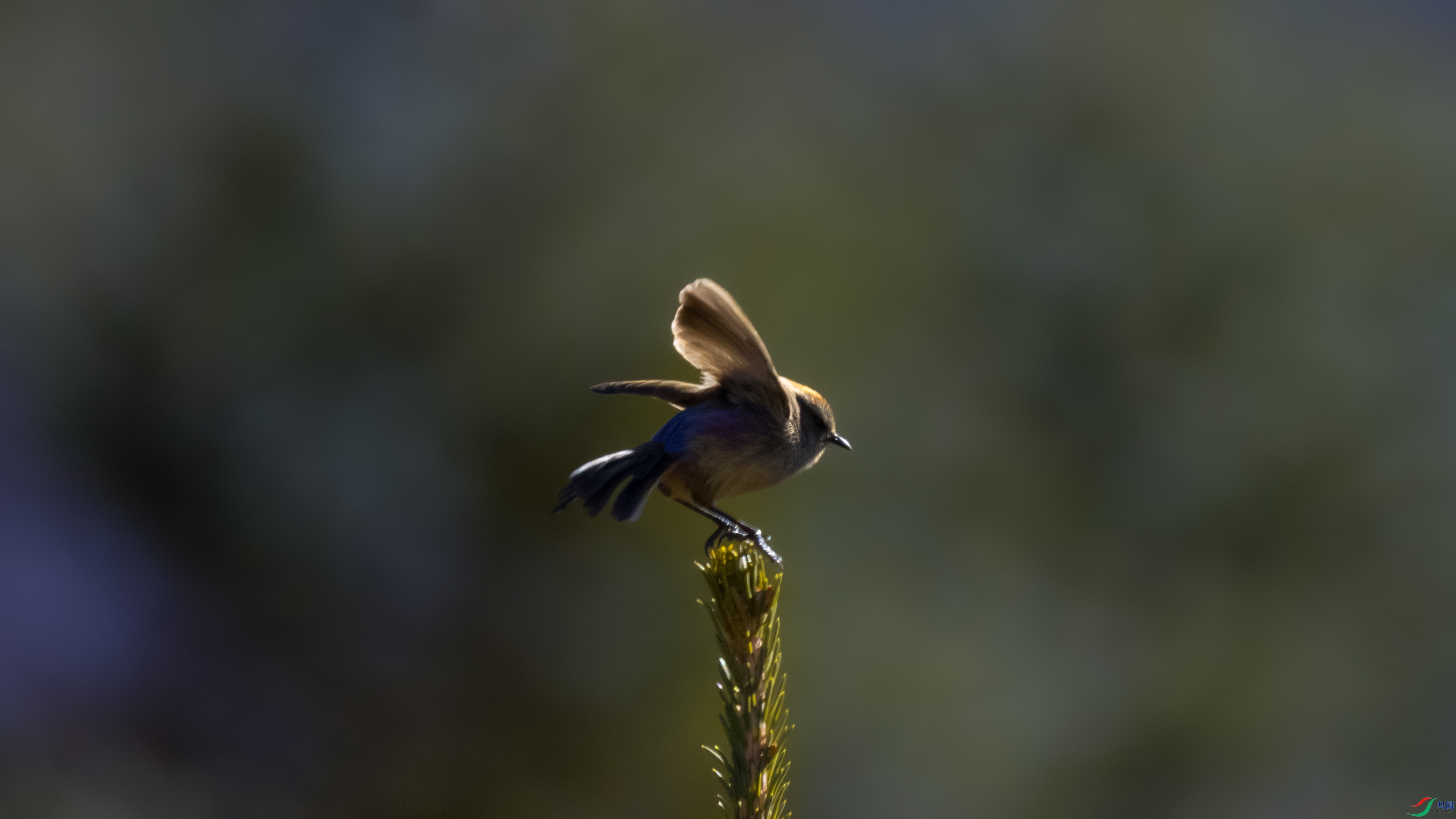 7X5A4869 ����.jpg