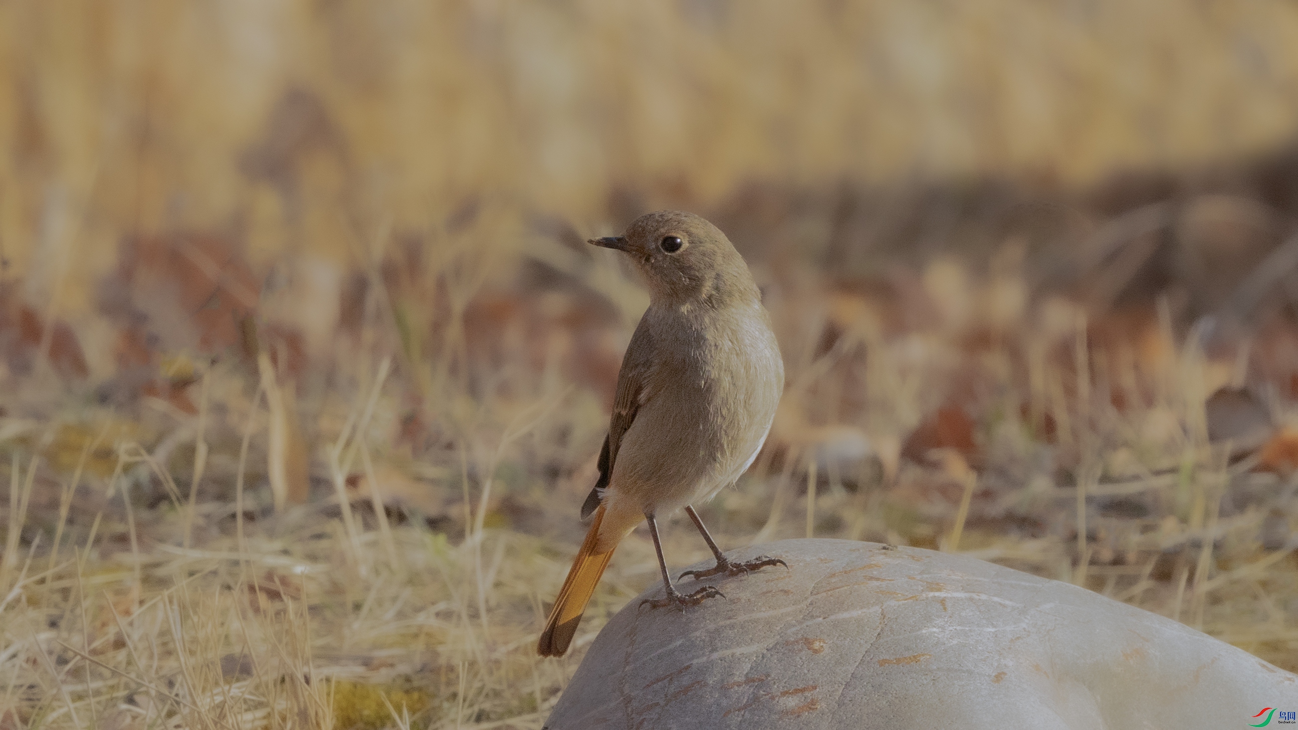 7X5A5528 ����.jpg