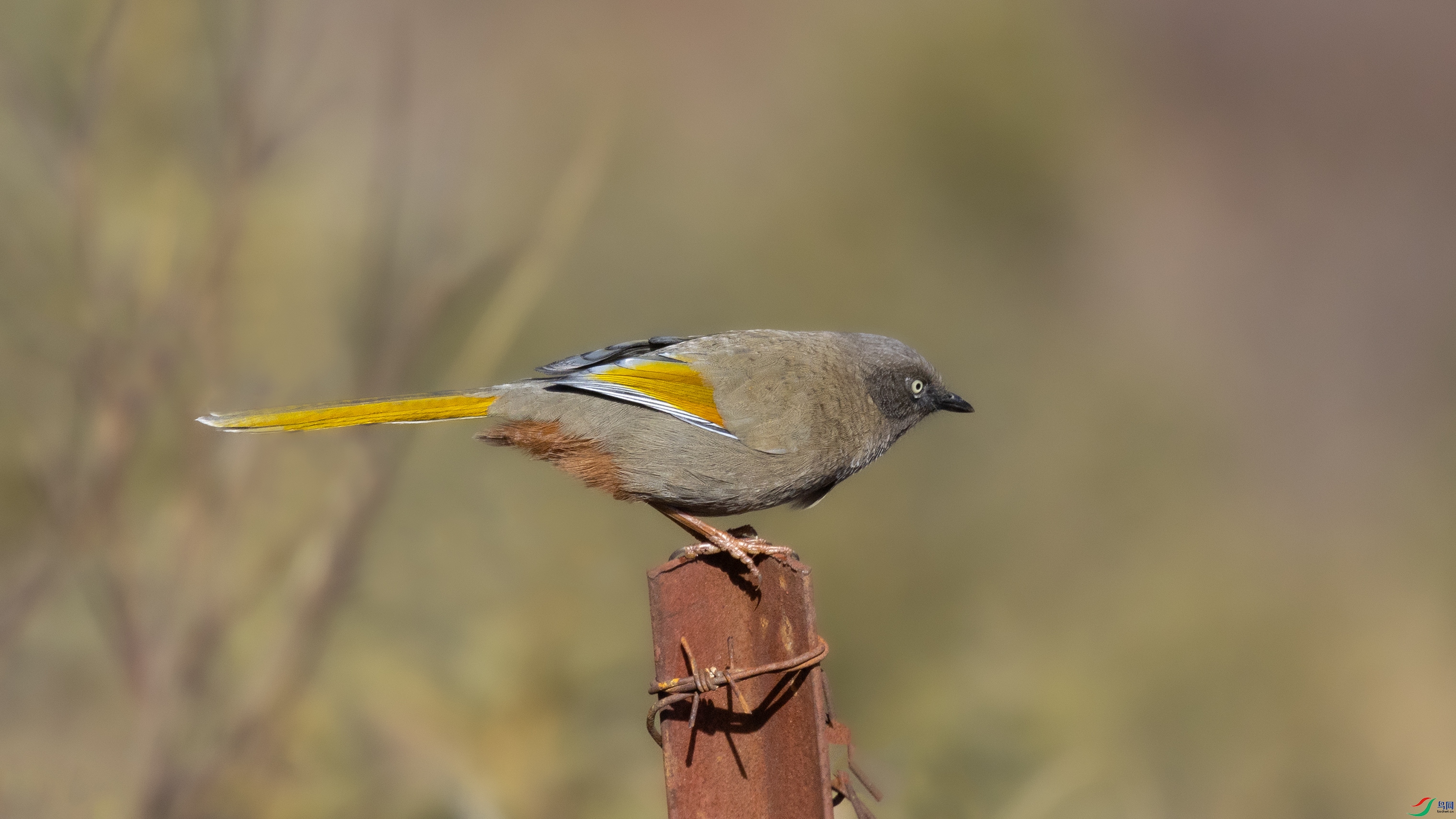 7X5A4816 ����.jpg