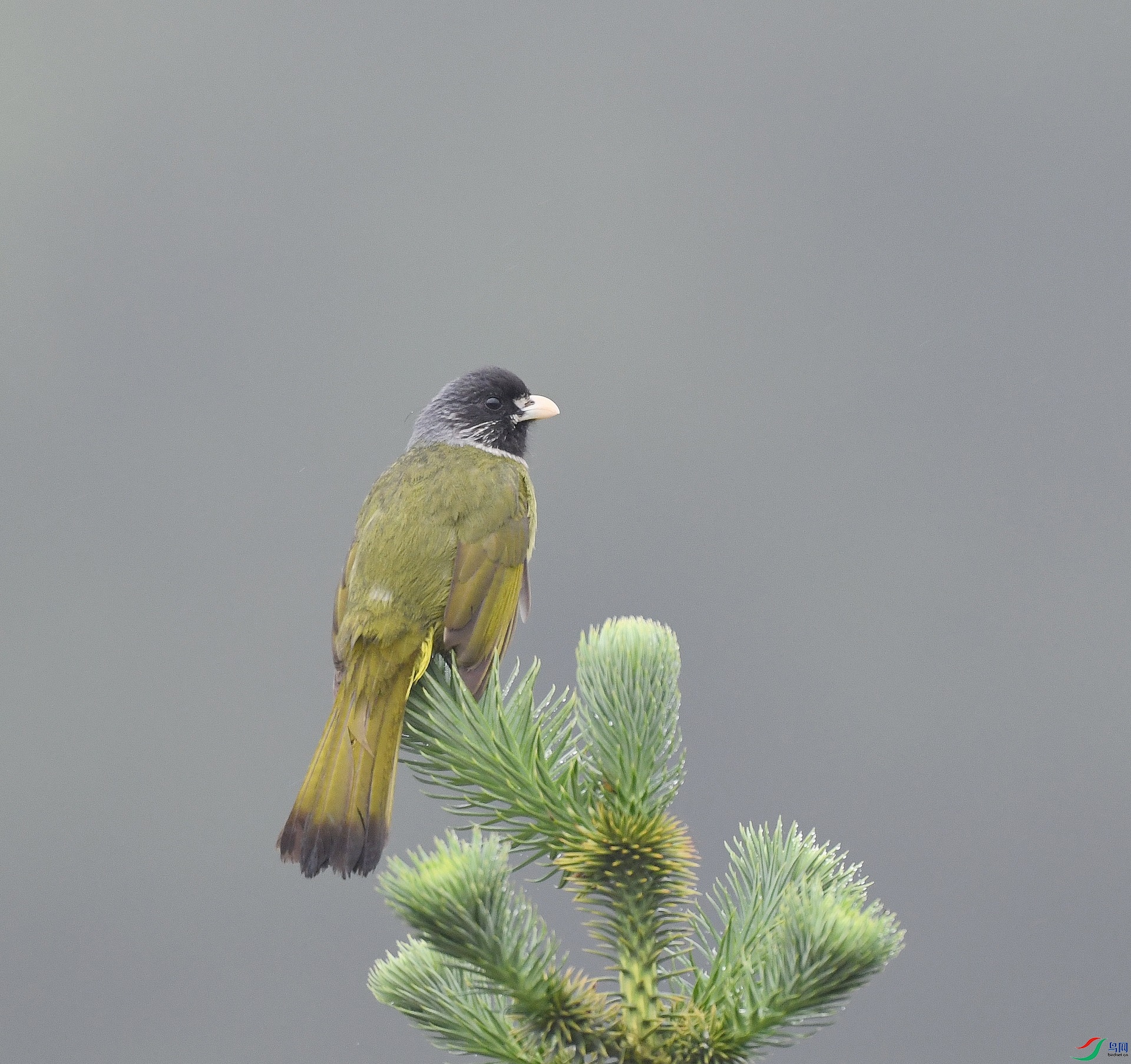 DSC_0536.jpg