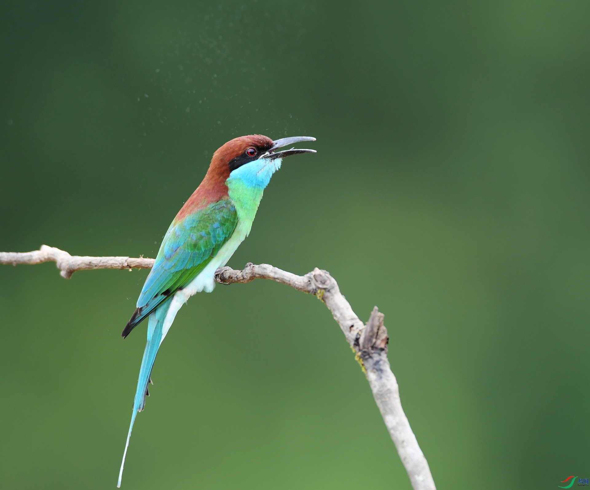 DSC_1765.jpg