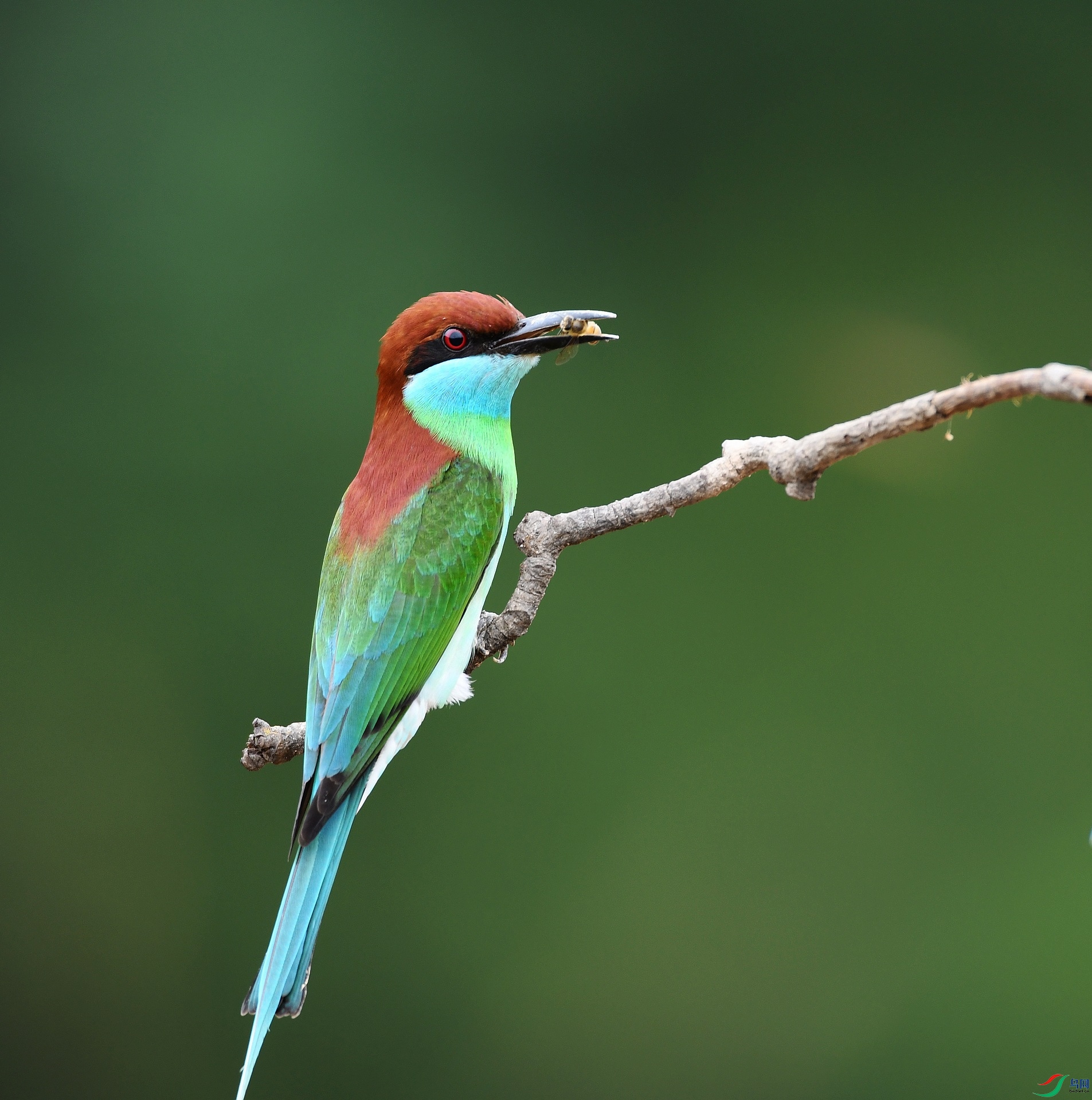 DSC_1774.jpg