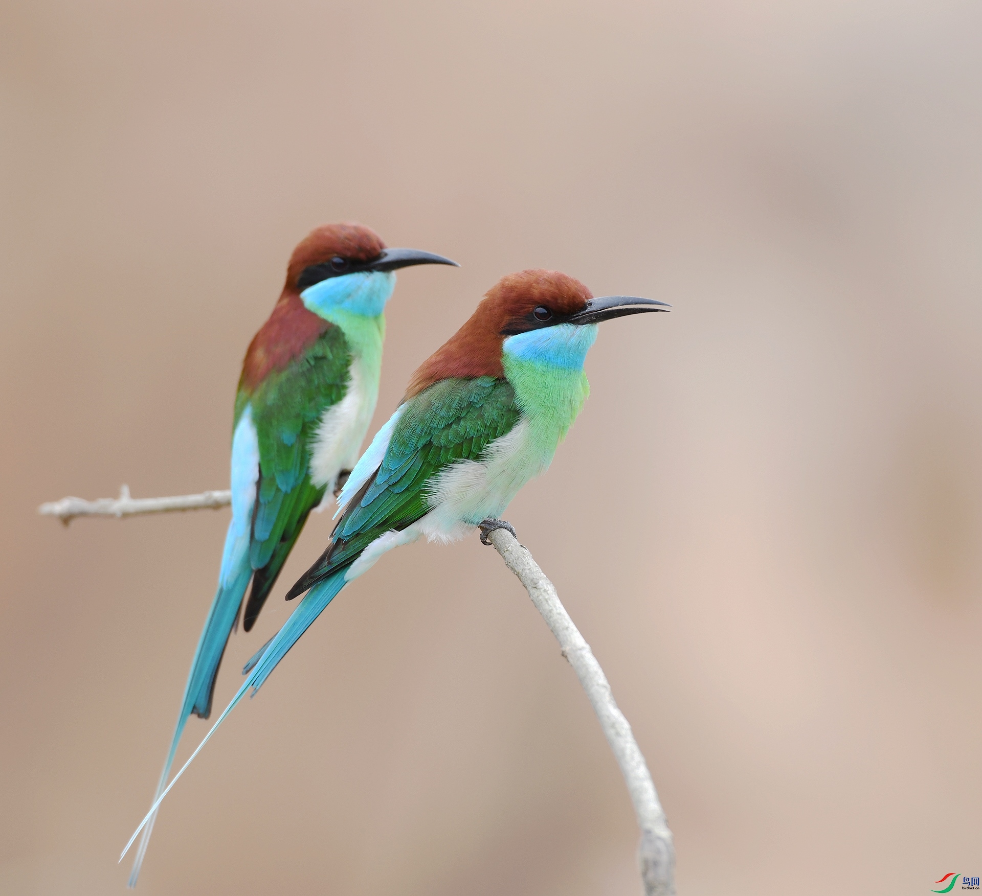 DSC_2408.jpg