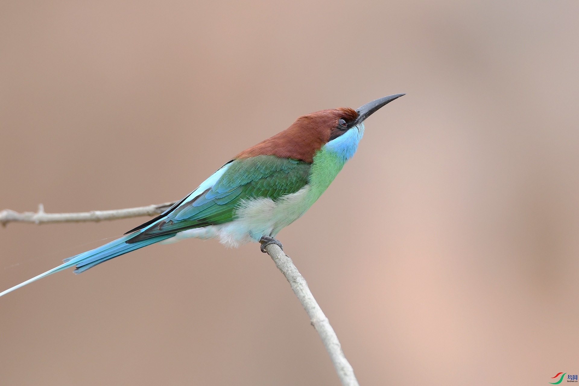 DSC_2410.jpg