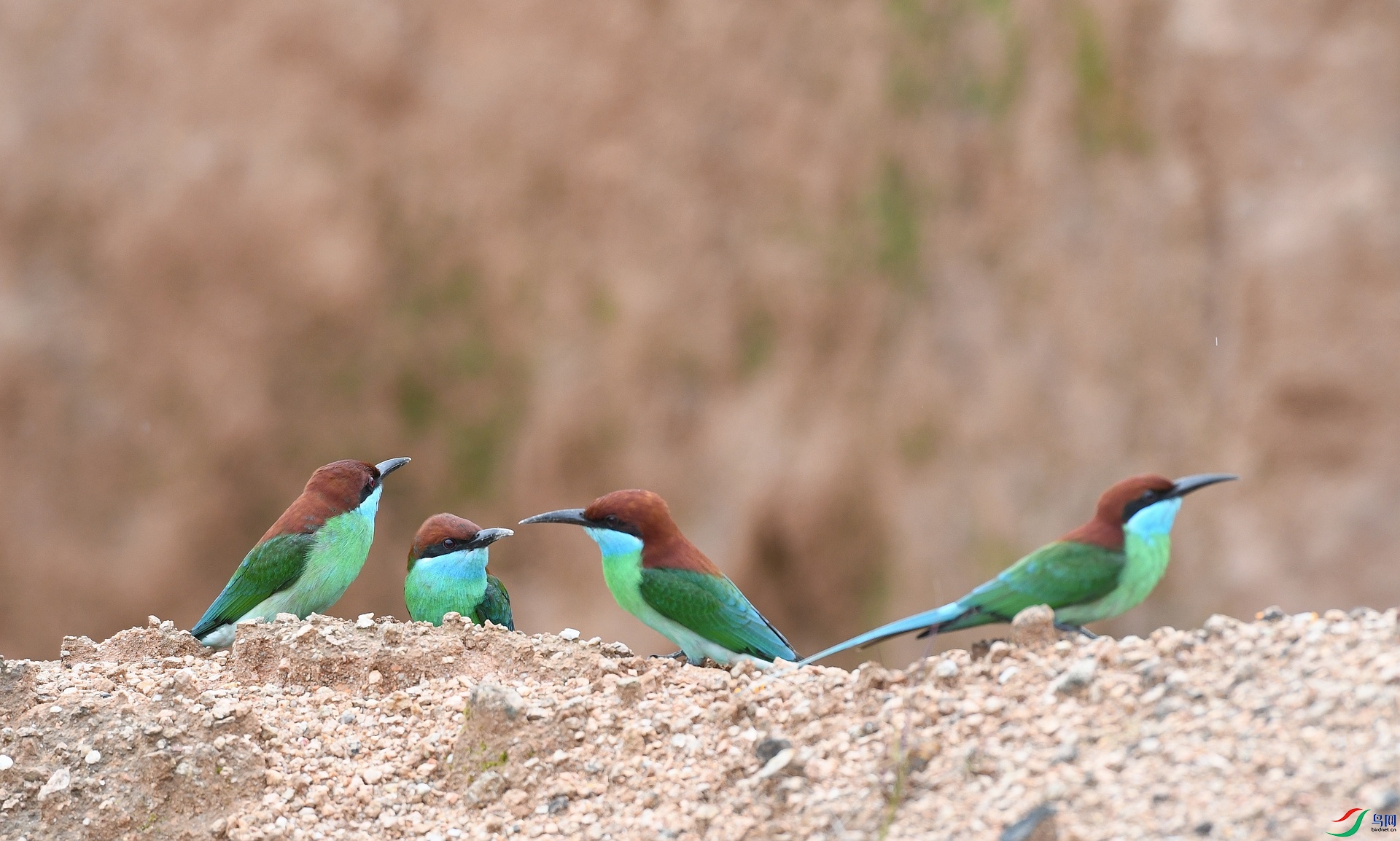 DSC_3320.jpg