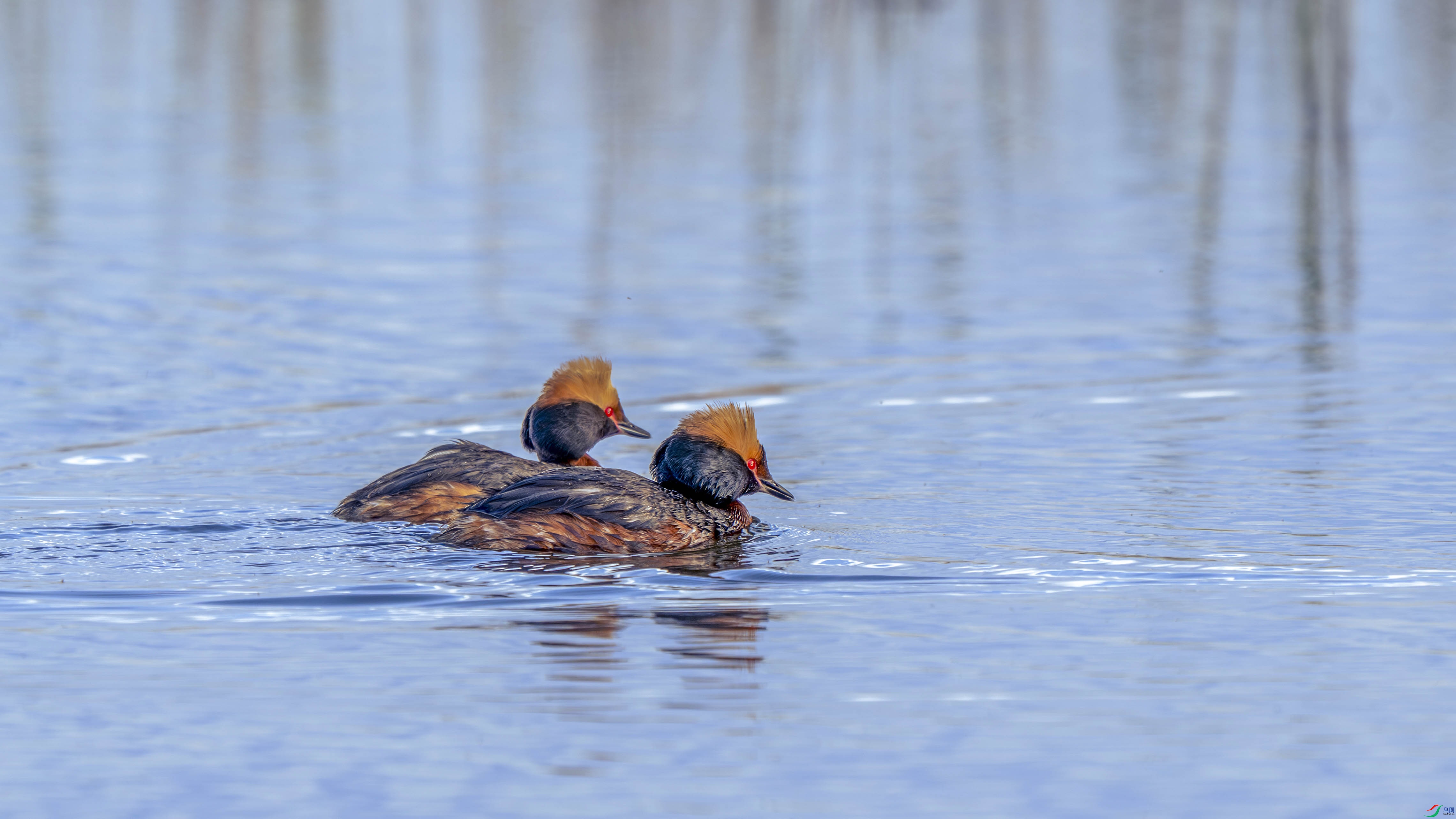 DSC_9348 ���� 2.jpg