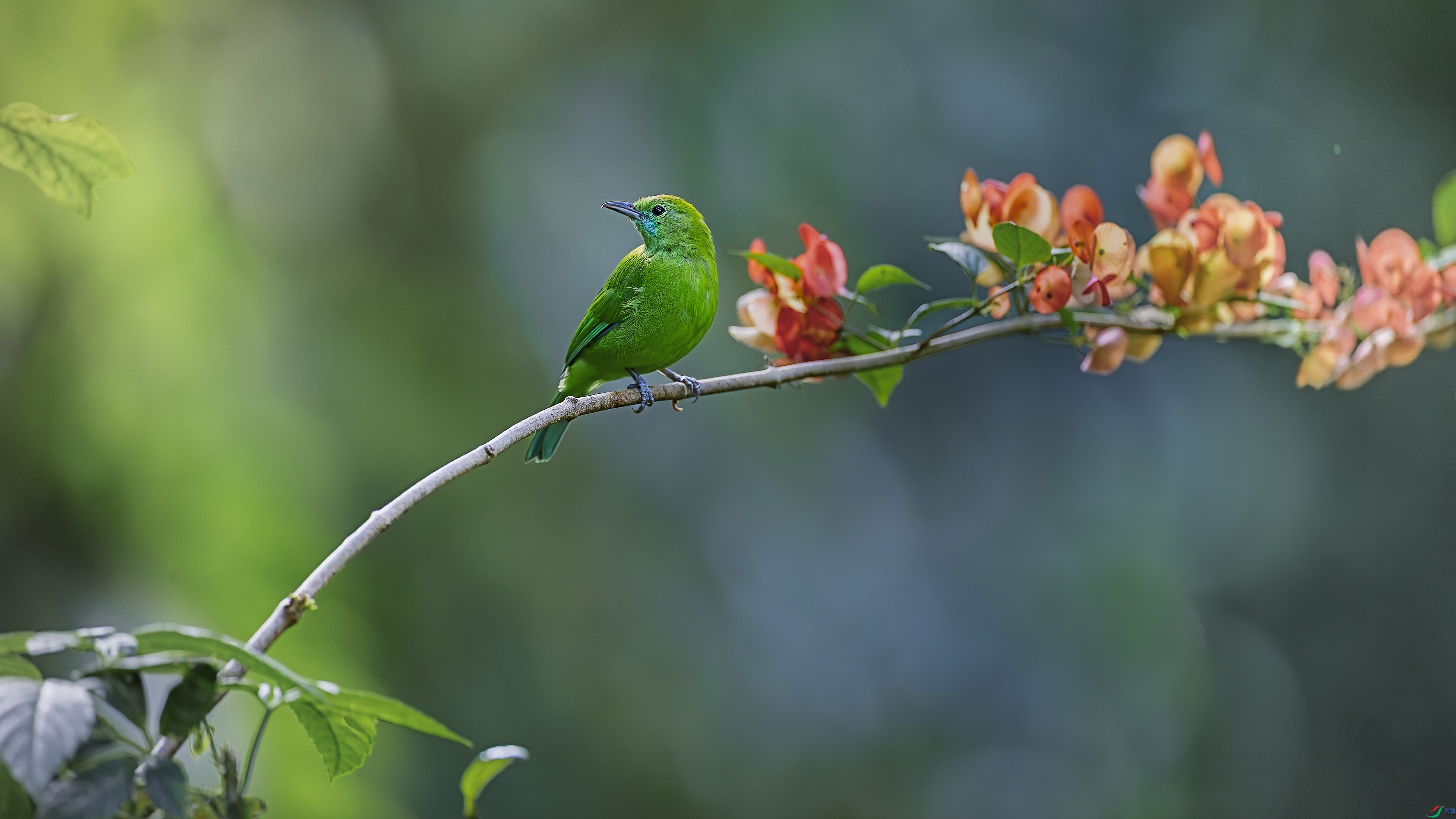 �컨������