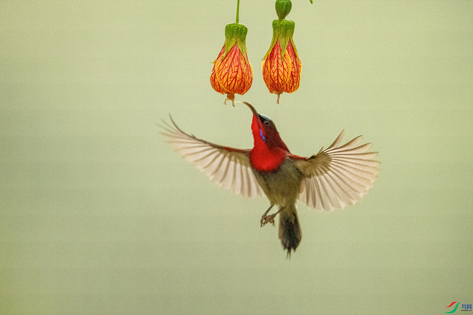 DSC05389.png    00001.png