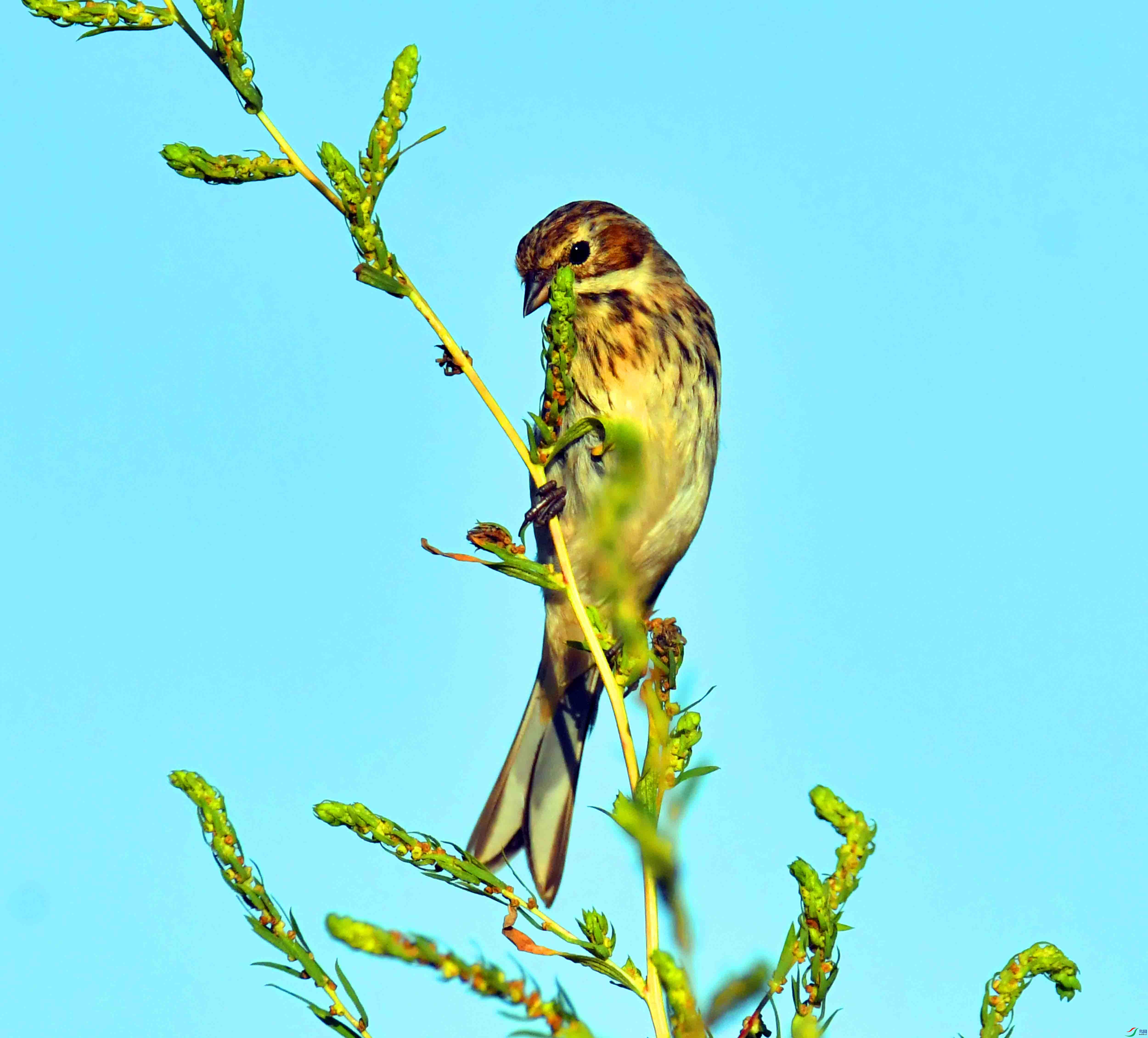 DSC_1041.JPG