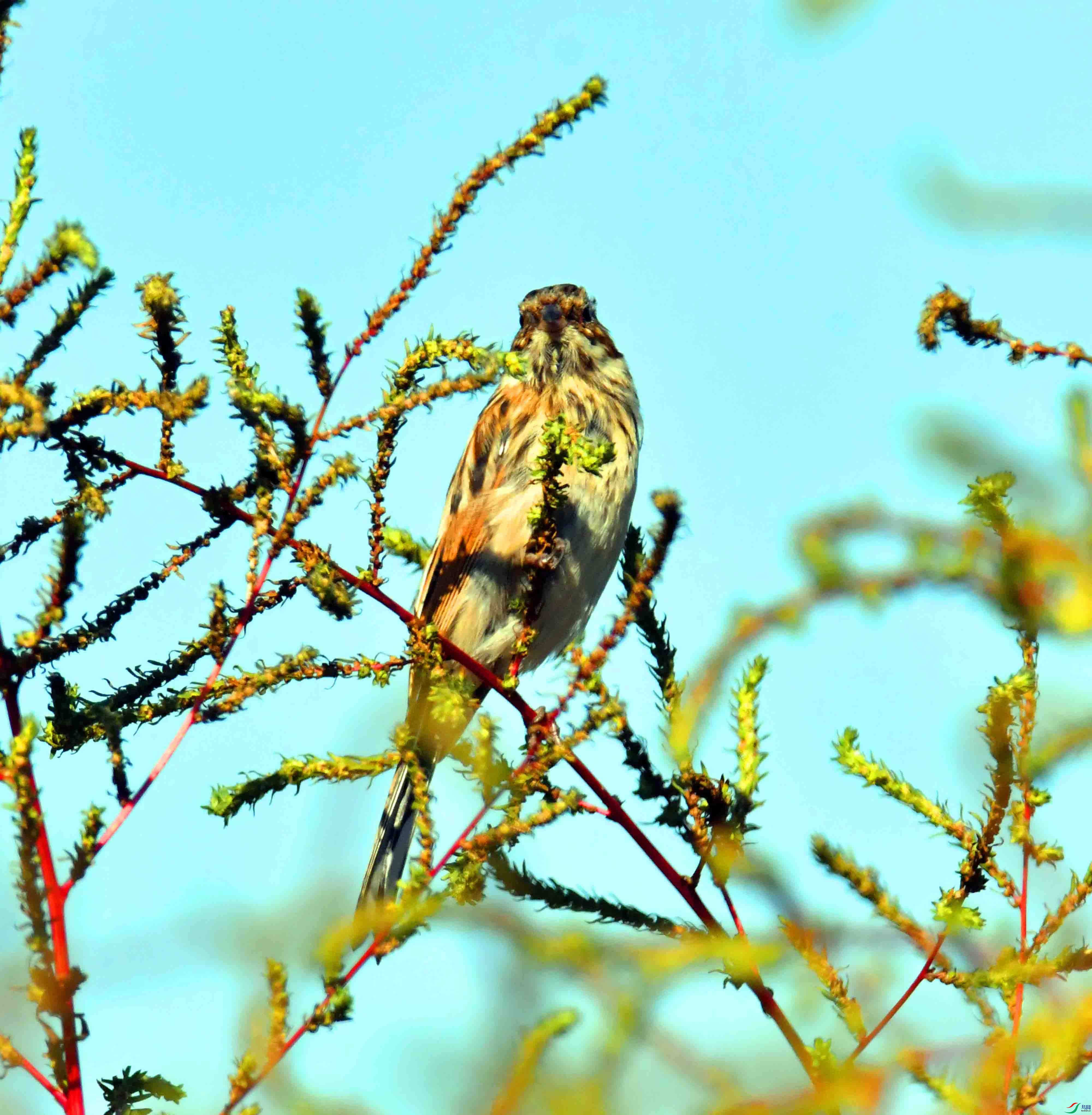 DSC_5968.JPG