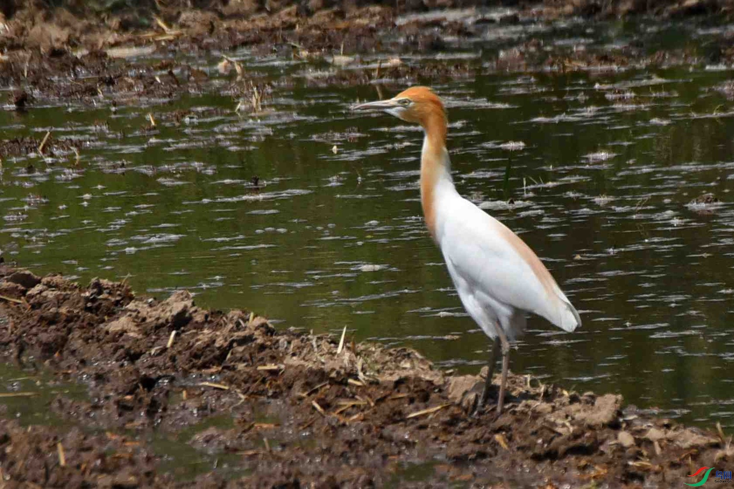 DSC_8067.JPG