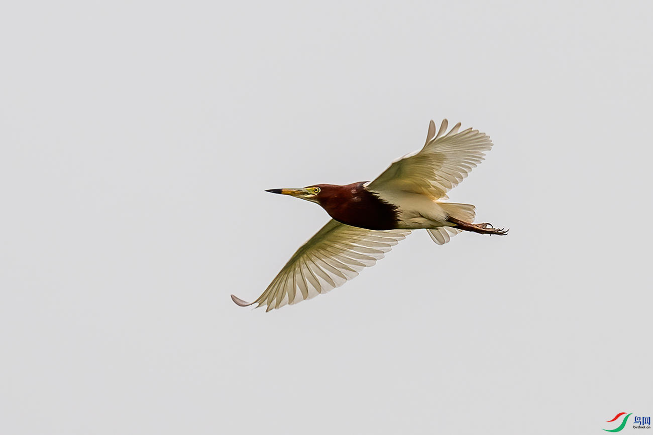 DSC_6850.png