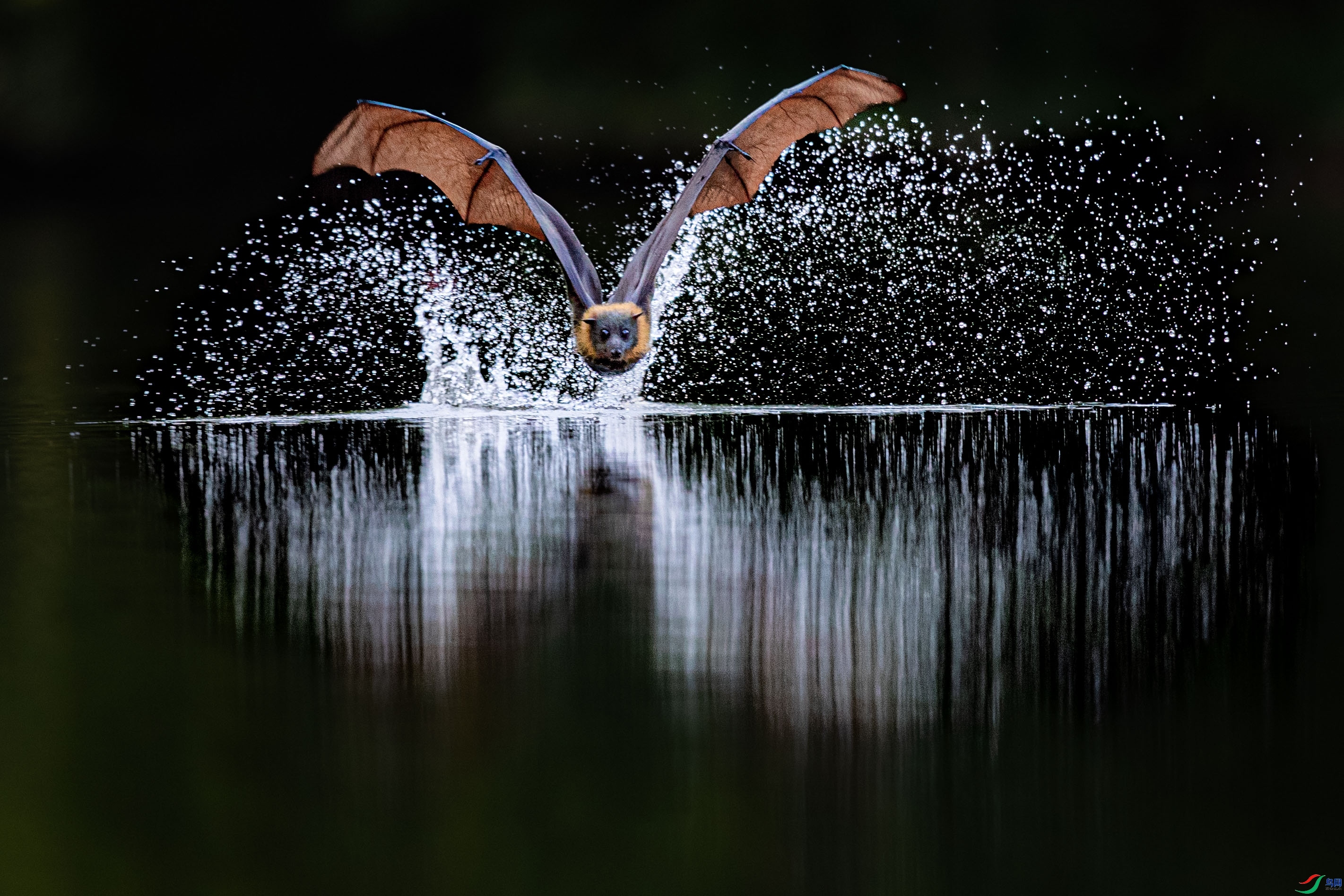 5.9һ·�����ʦ��Ʒ   ��Ϸˮ ��ף���ٻ���Ӱʦ������.jpg