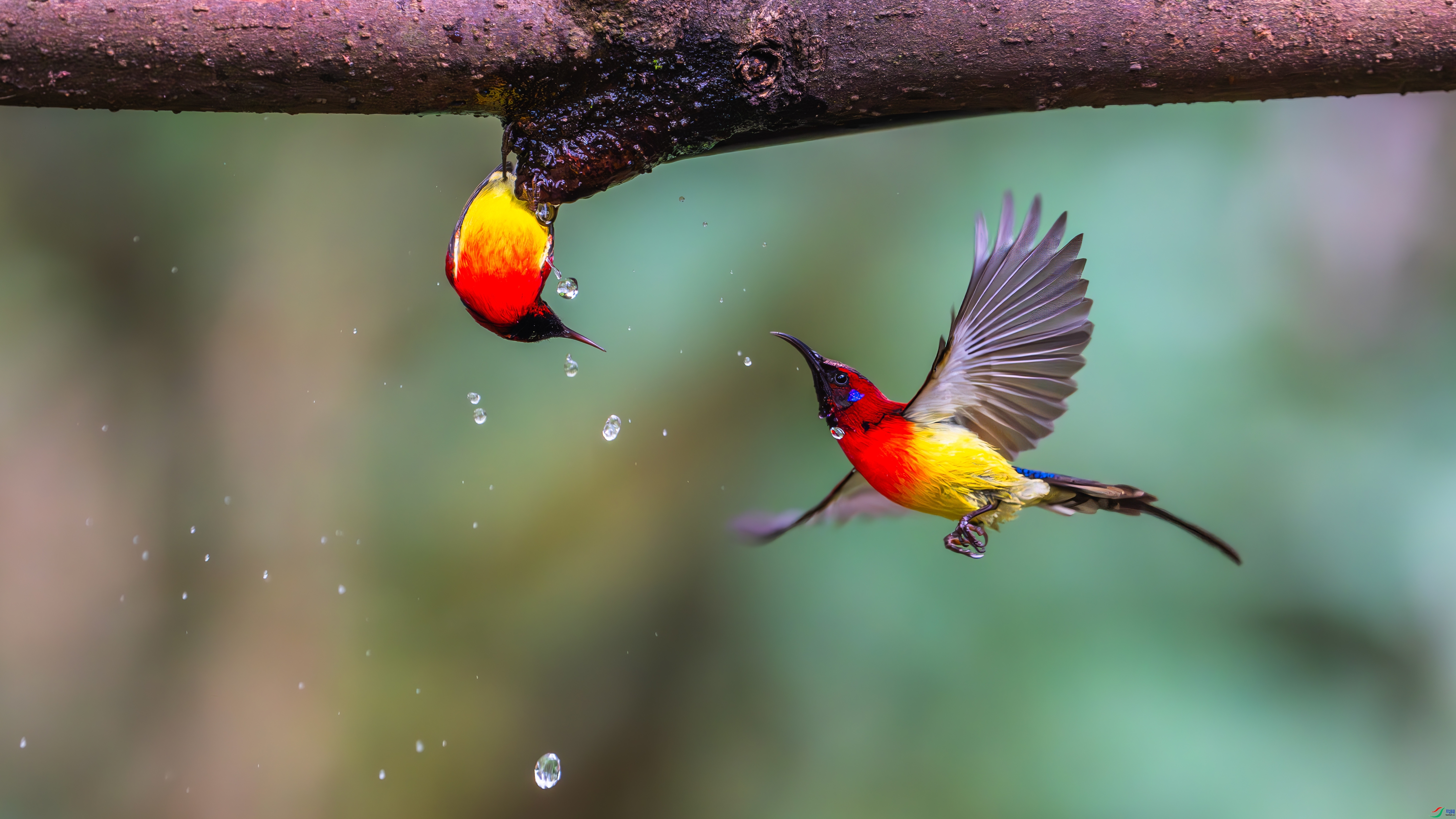 5.13����������ʦ��Ʒ   ���о��� ��ף���ٻ����������.jpg