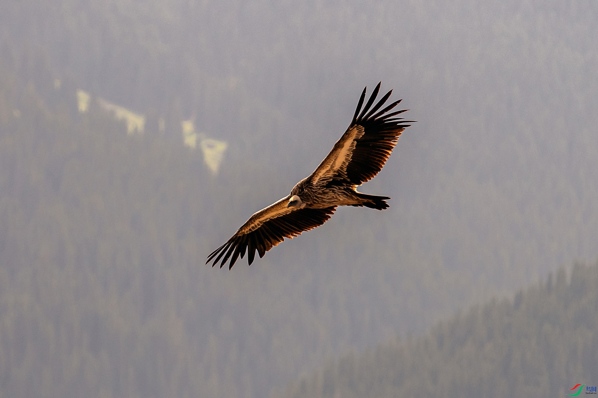 _AUU0814��ɽأ��(24.9.22).jpg