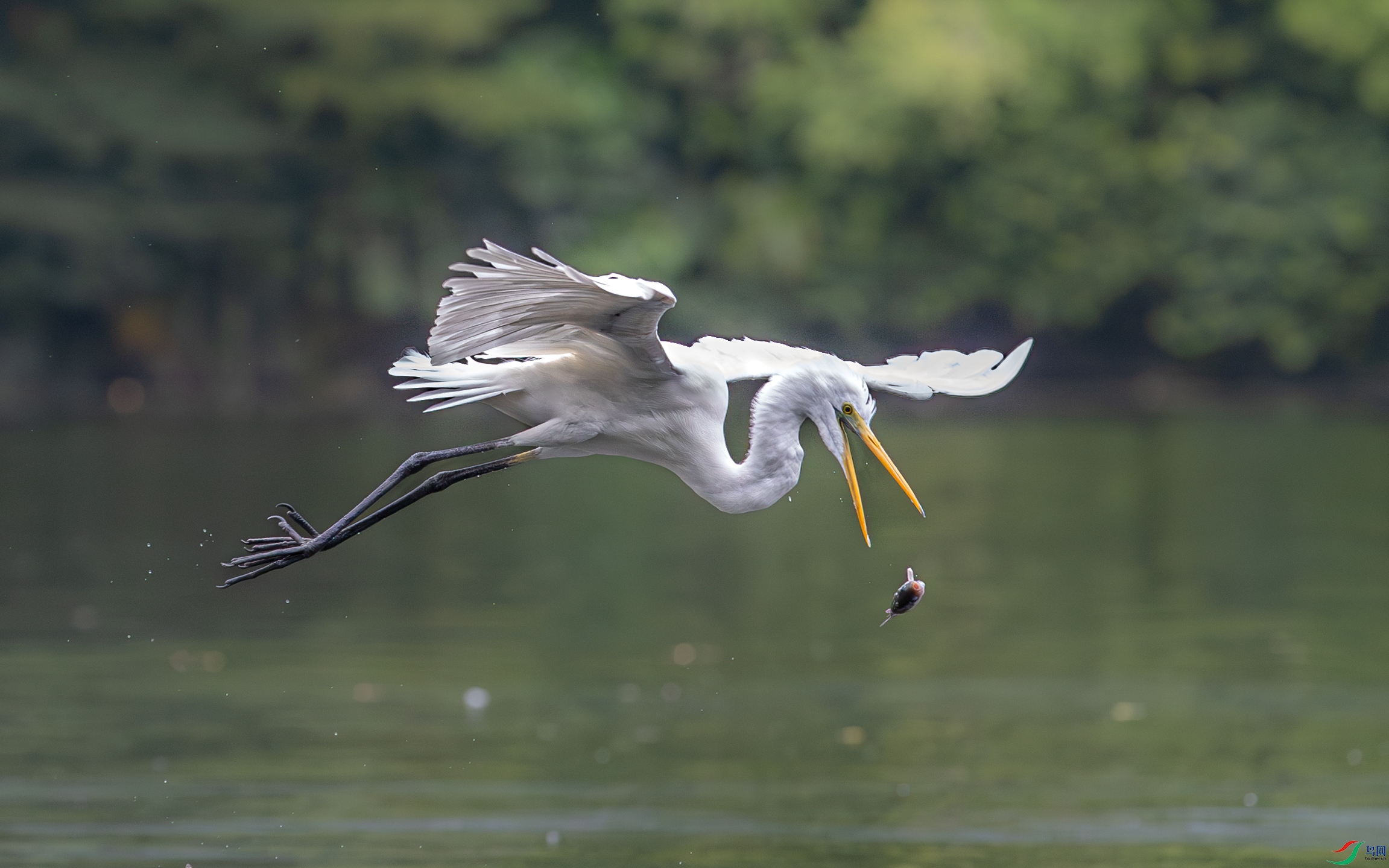 A15I5059-����ǿ-NR ����.jpg