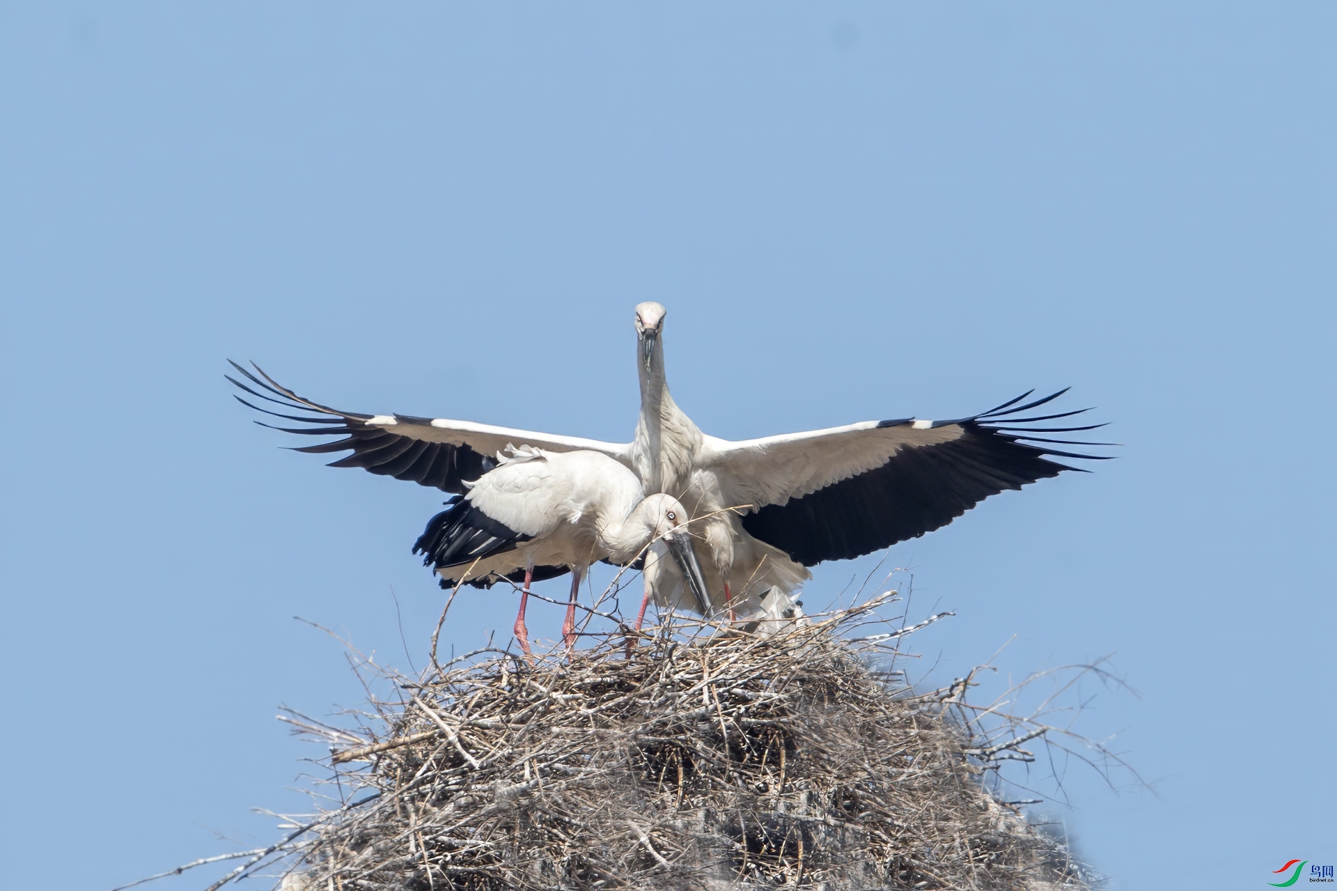 DSC_4830 ����.jpg