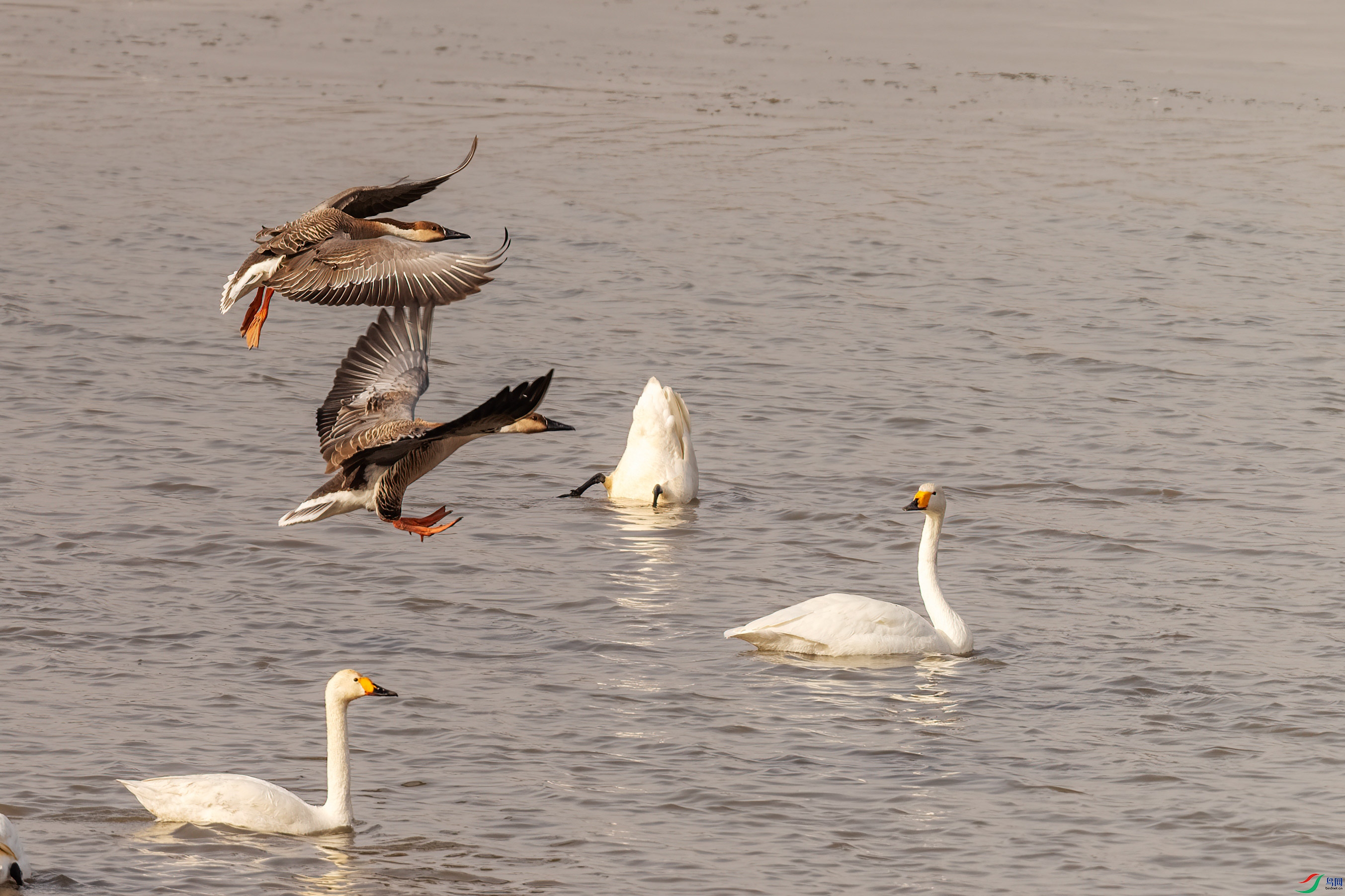 DSC_3175.jpg