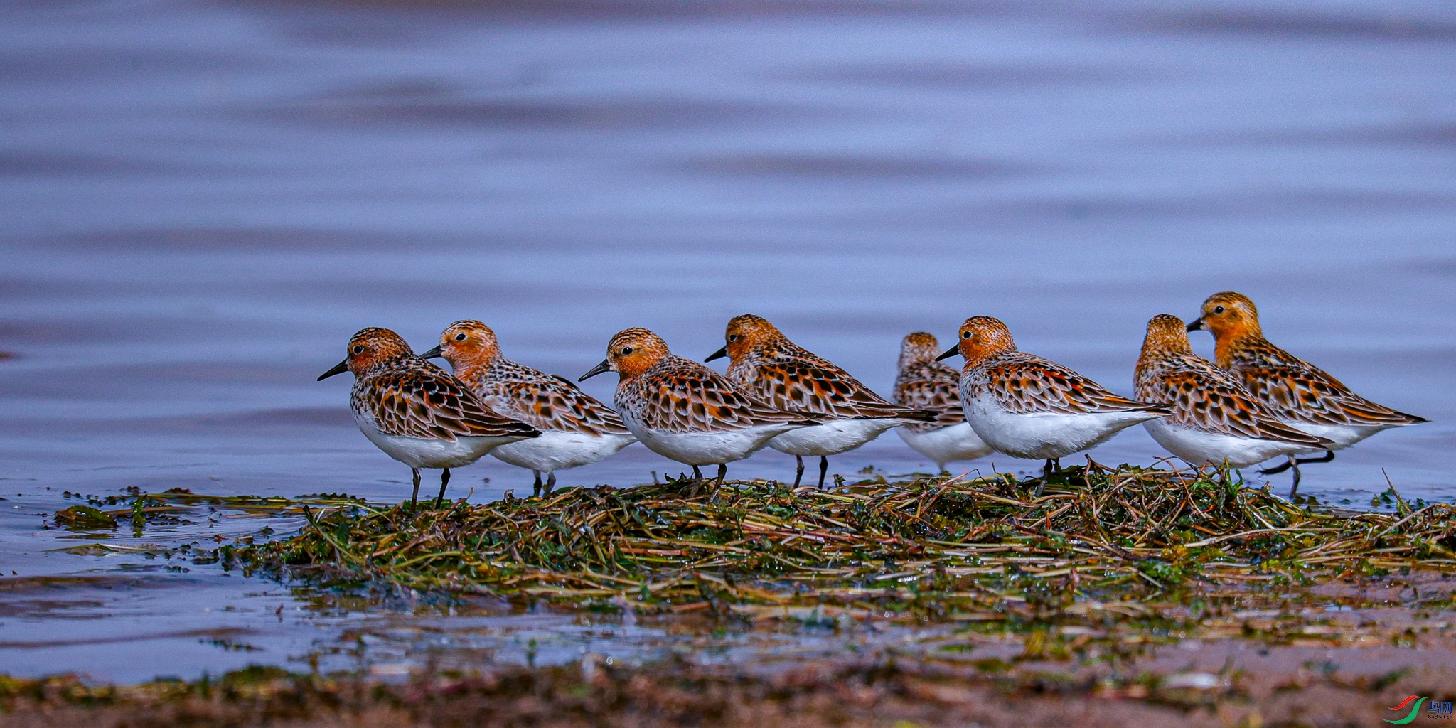 �۹����� �����Ի�