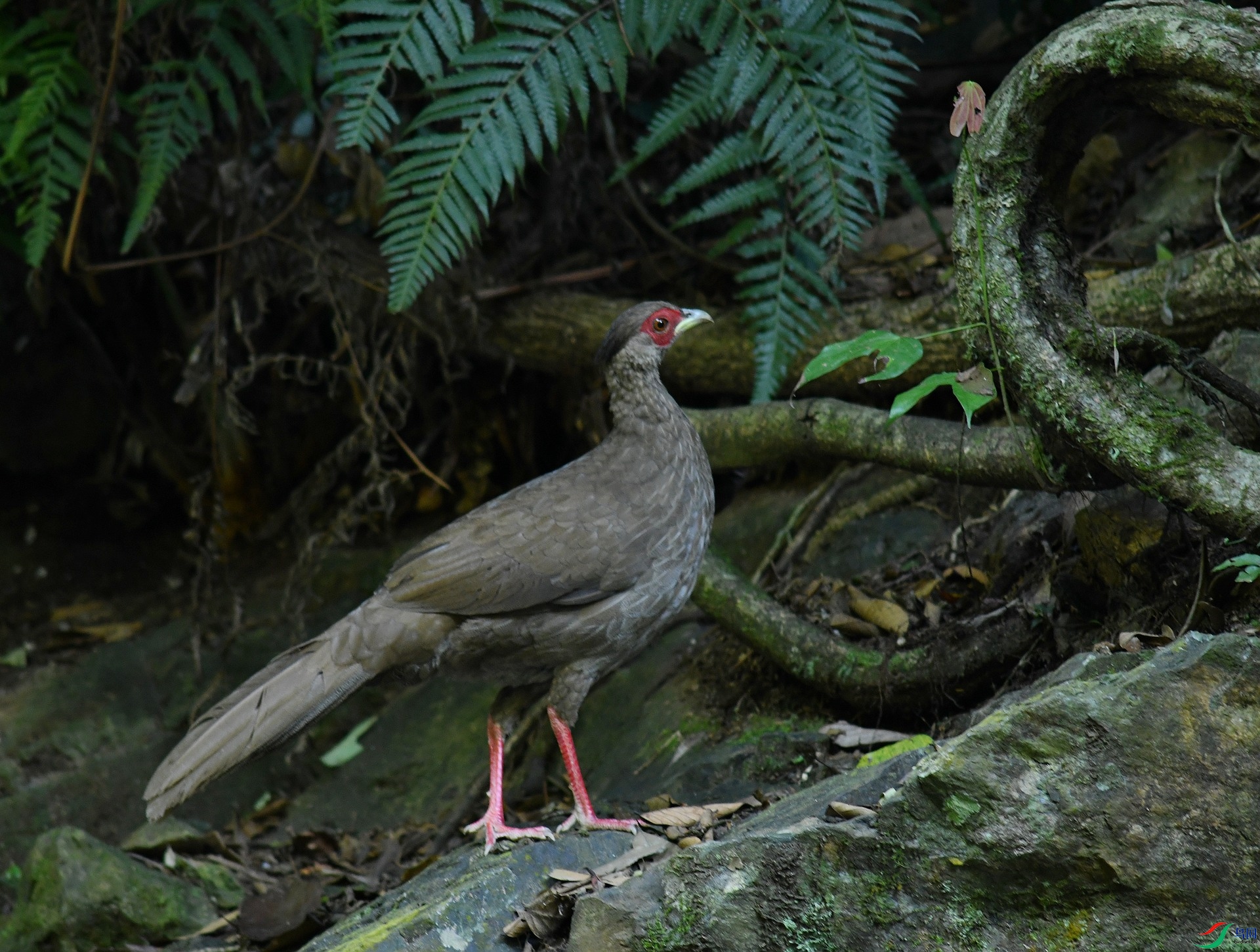DSC_6560.jpg