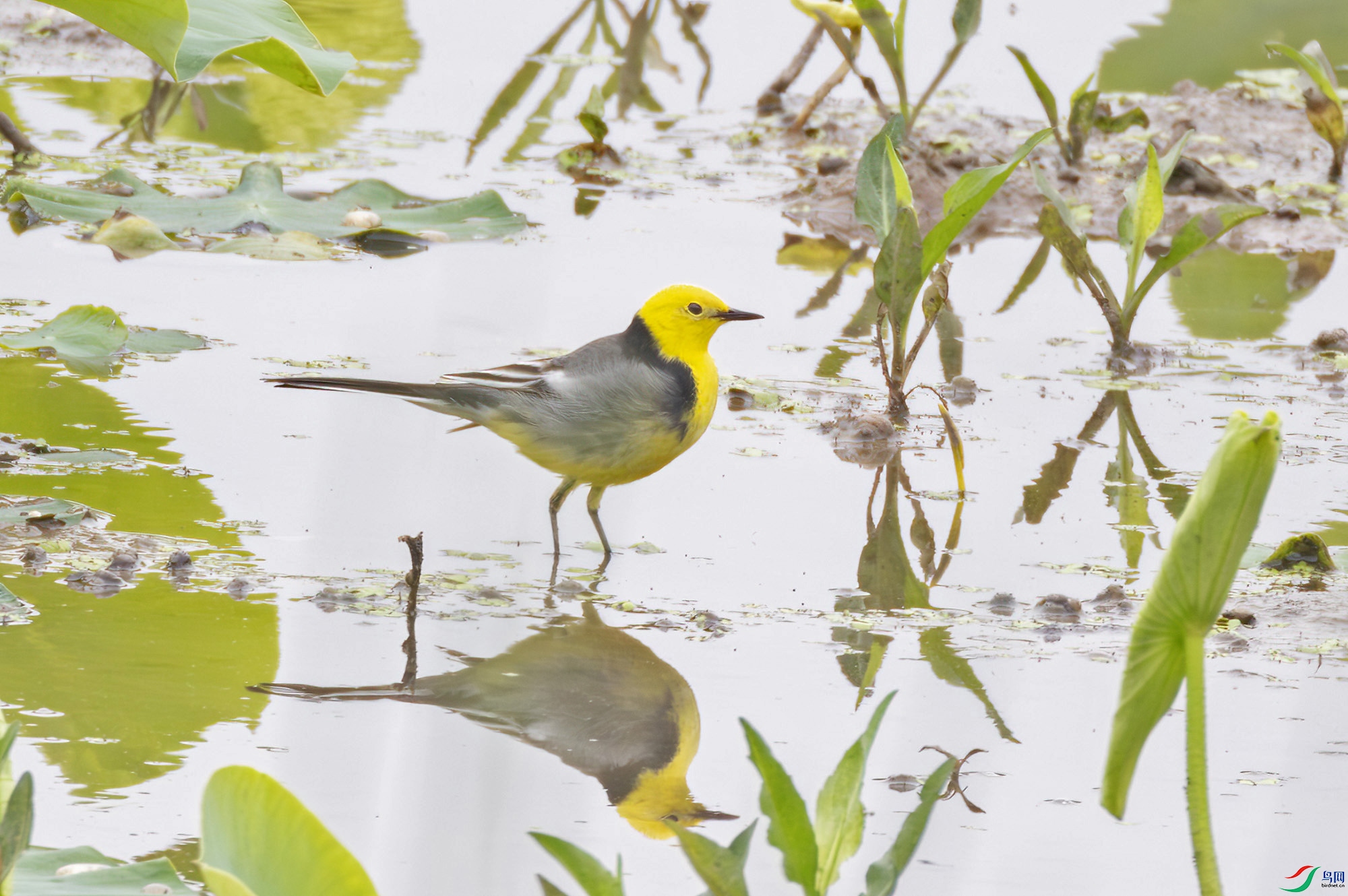 2I1A6040-����ǿ-NR ���� 2.jpg