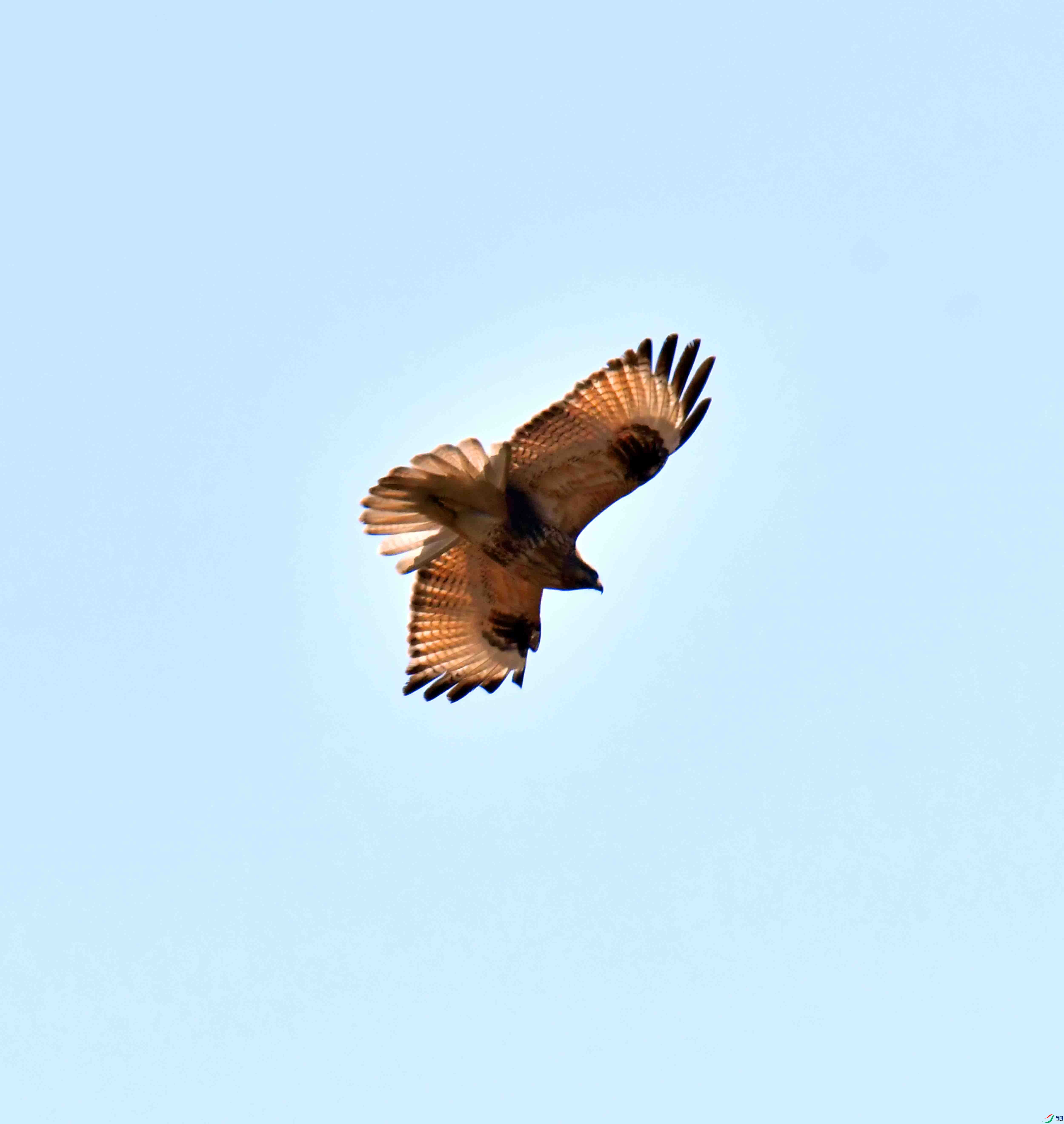 DSC_0683.JPG