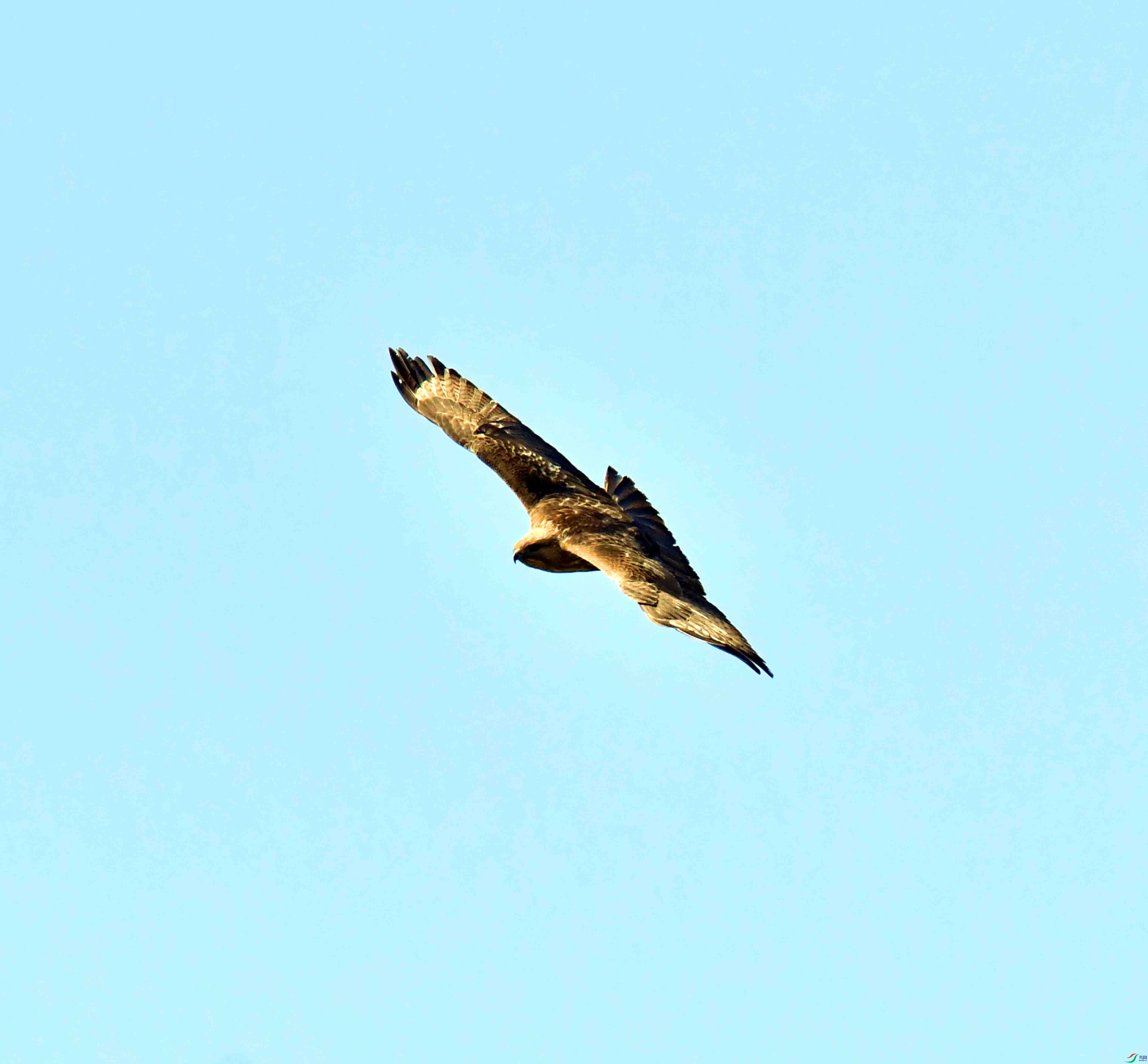 DSC_0777.JPG