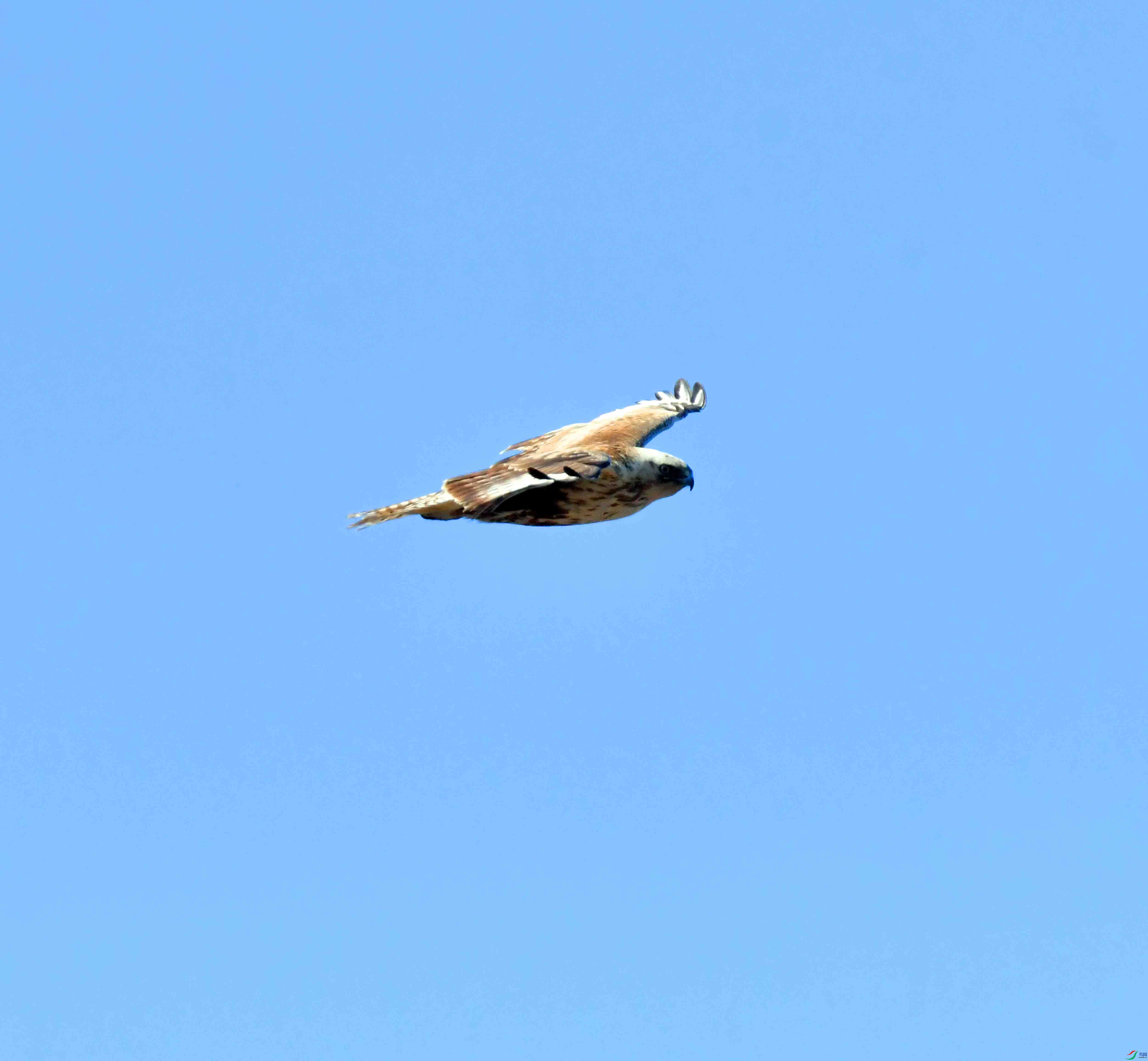 DSC_0888.JPG