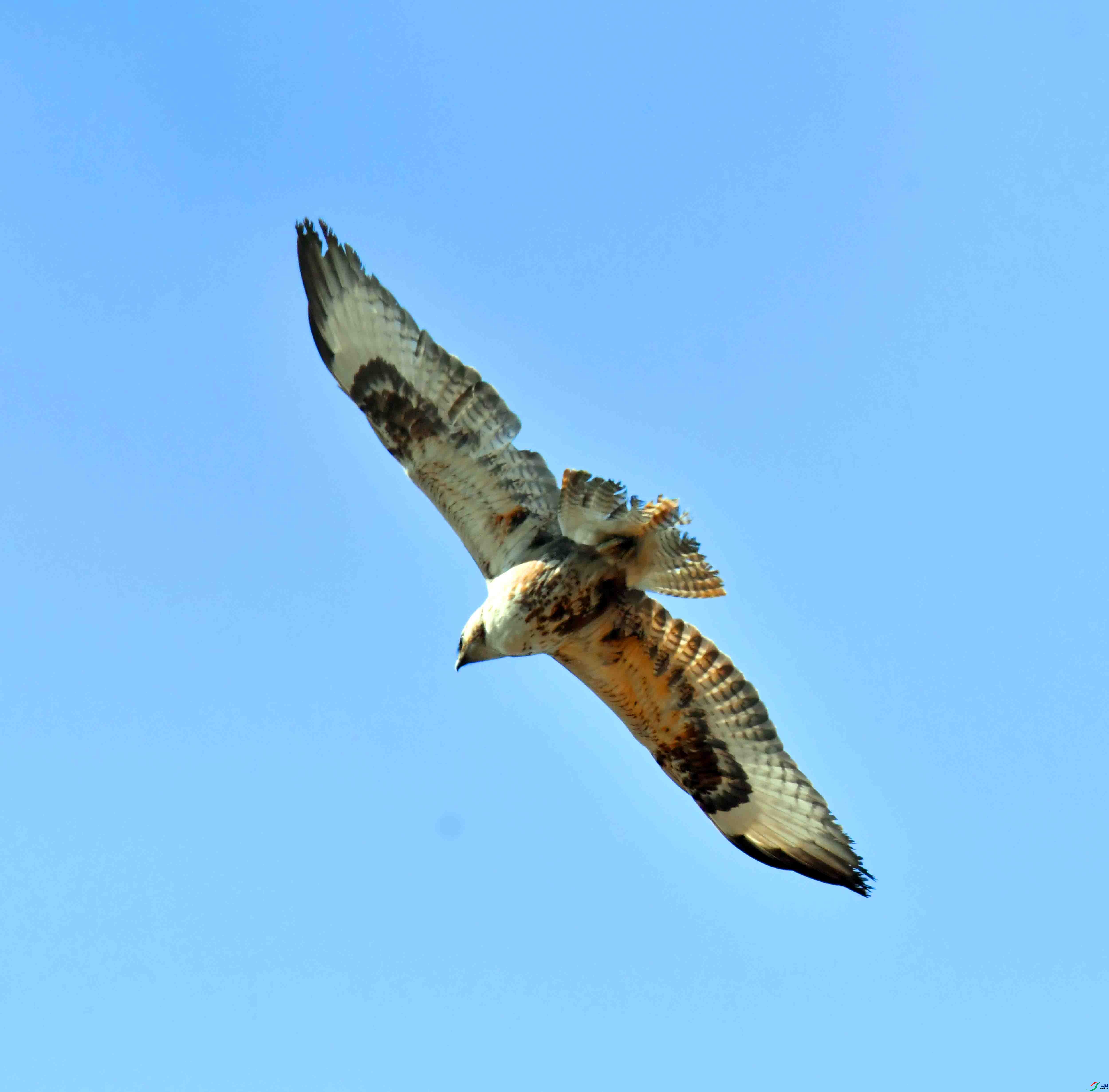 DSC_0904.JPG
