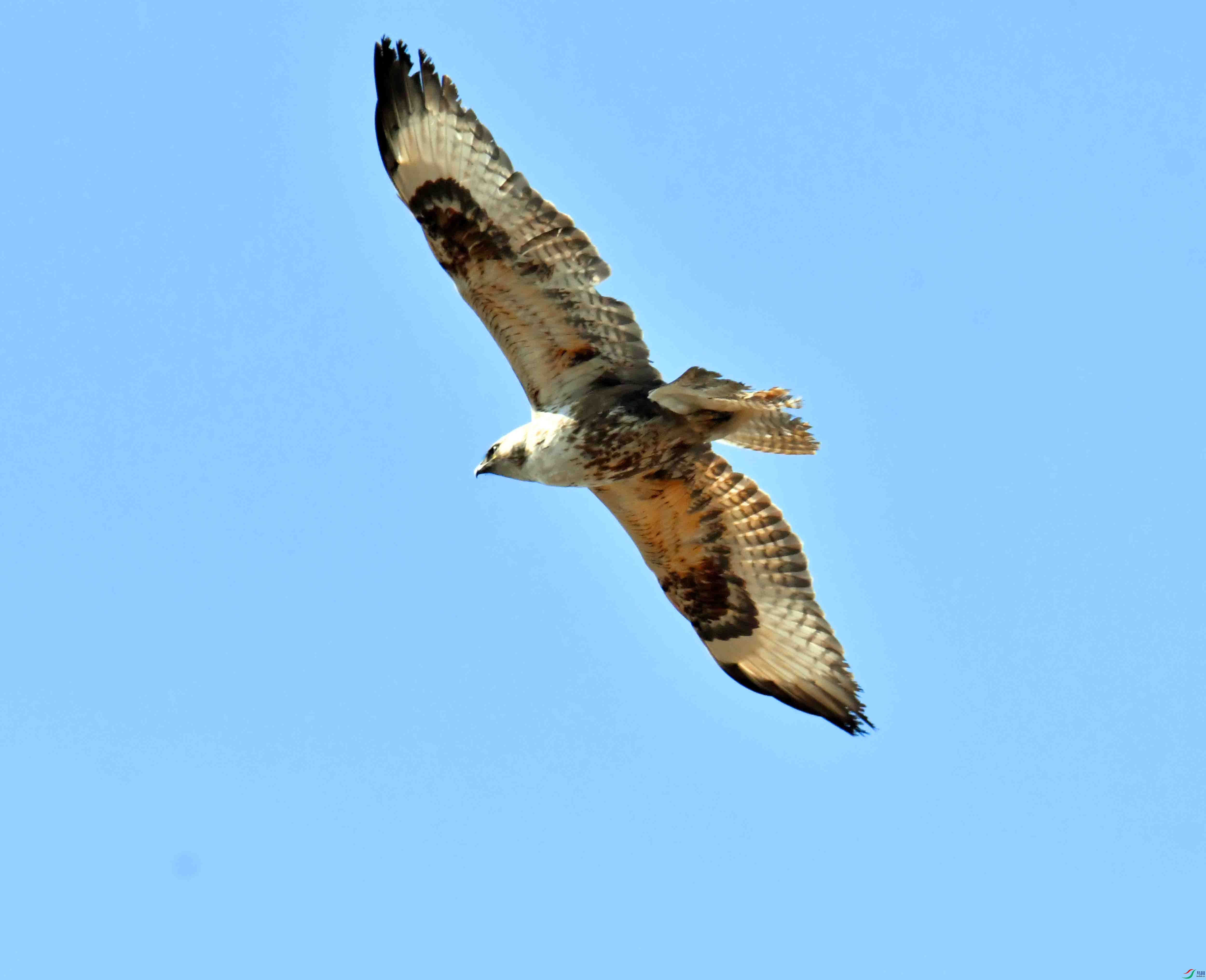 DSC_0903.JPG