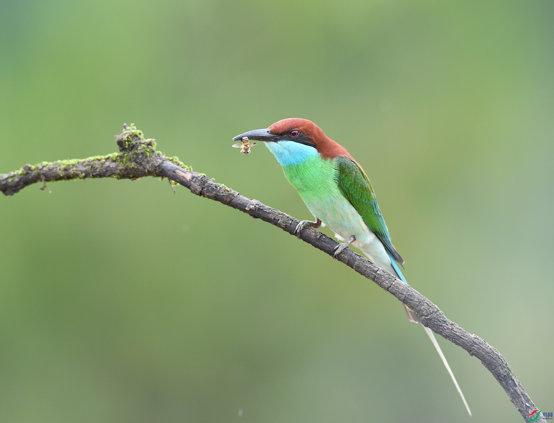 DSC_3261.jpg