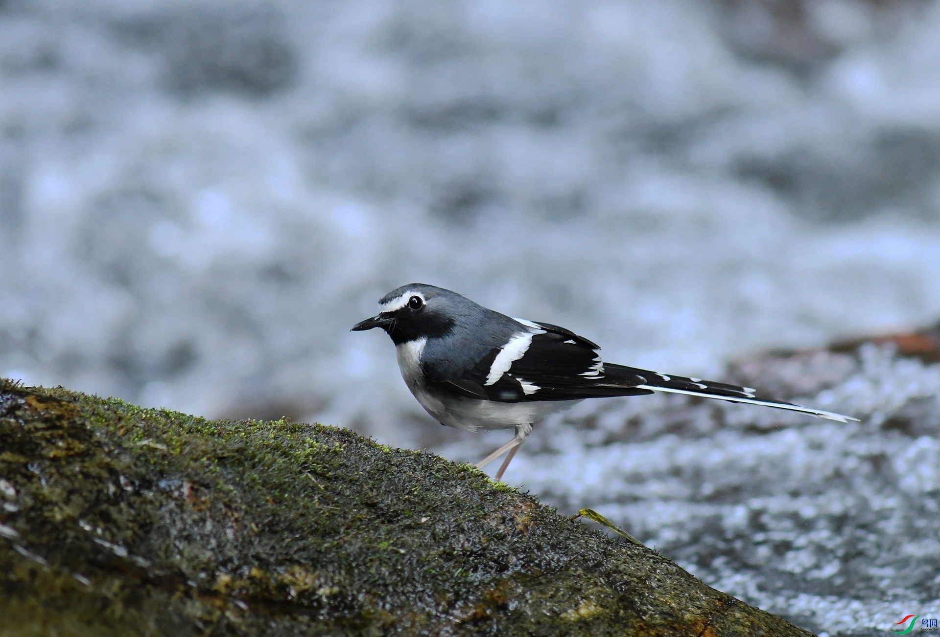 DSC_6784.jpg