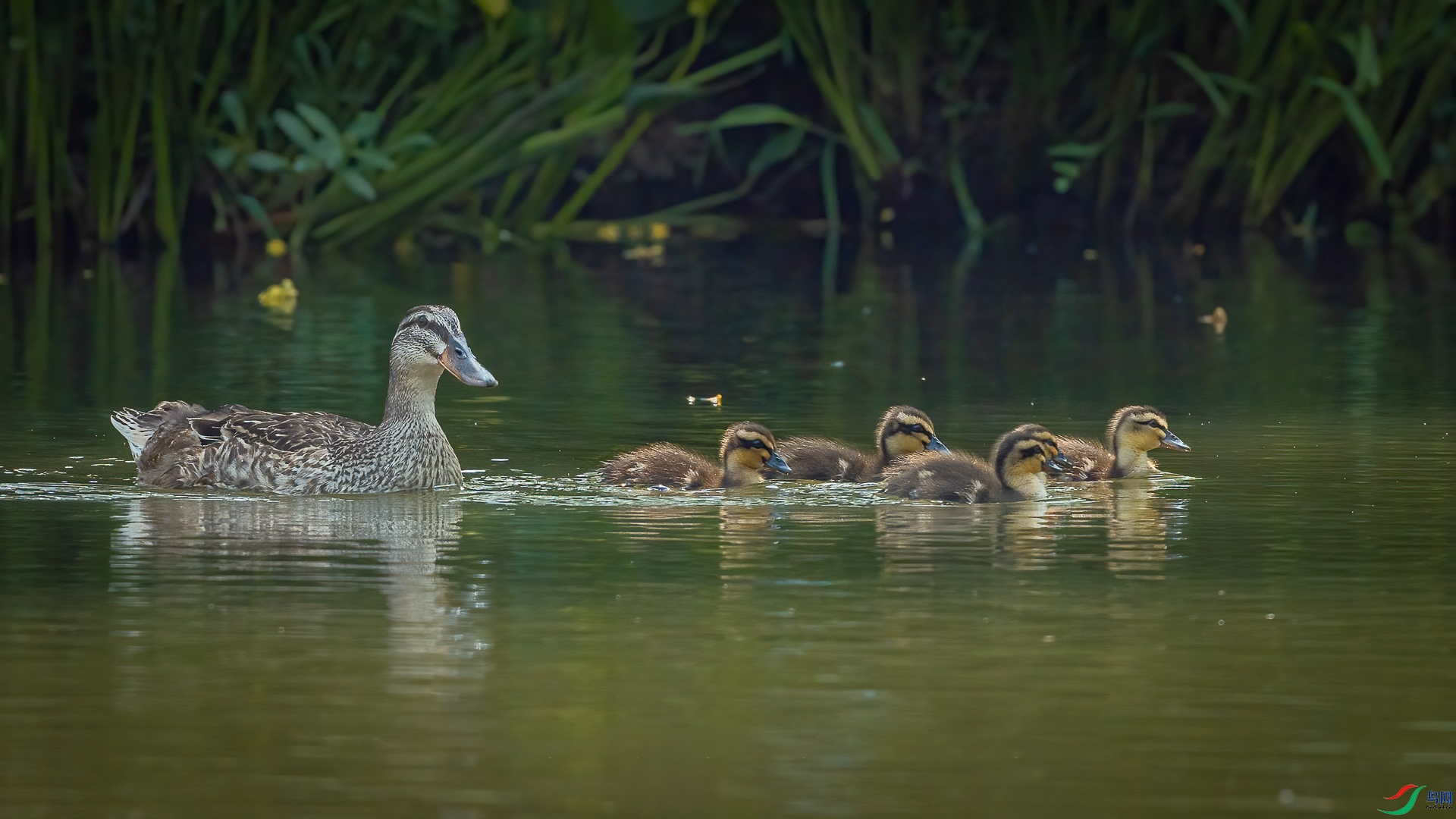 ΢��ͼƬ_20250520173437 ����_1.jpg