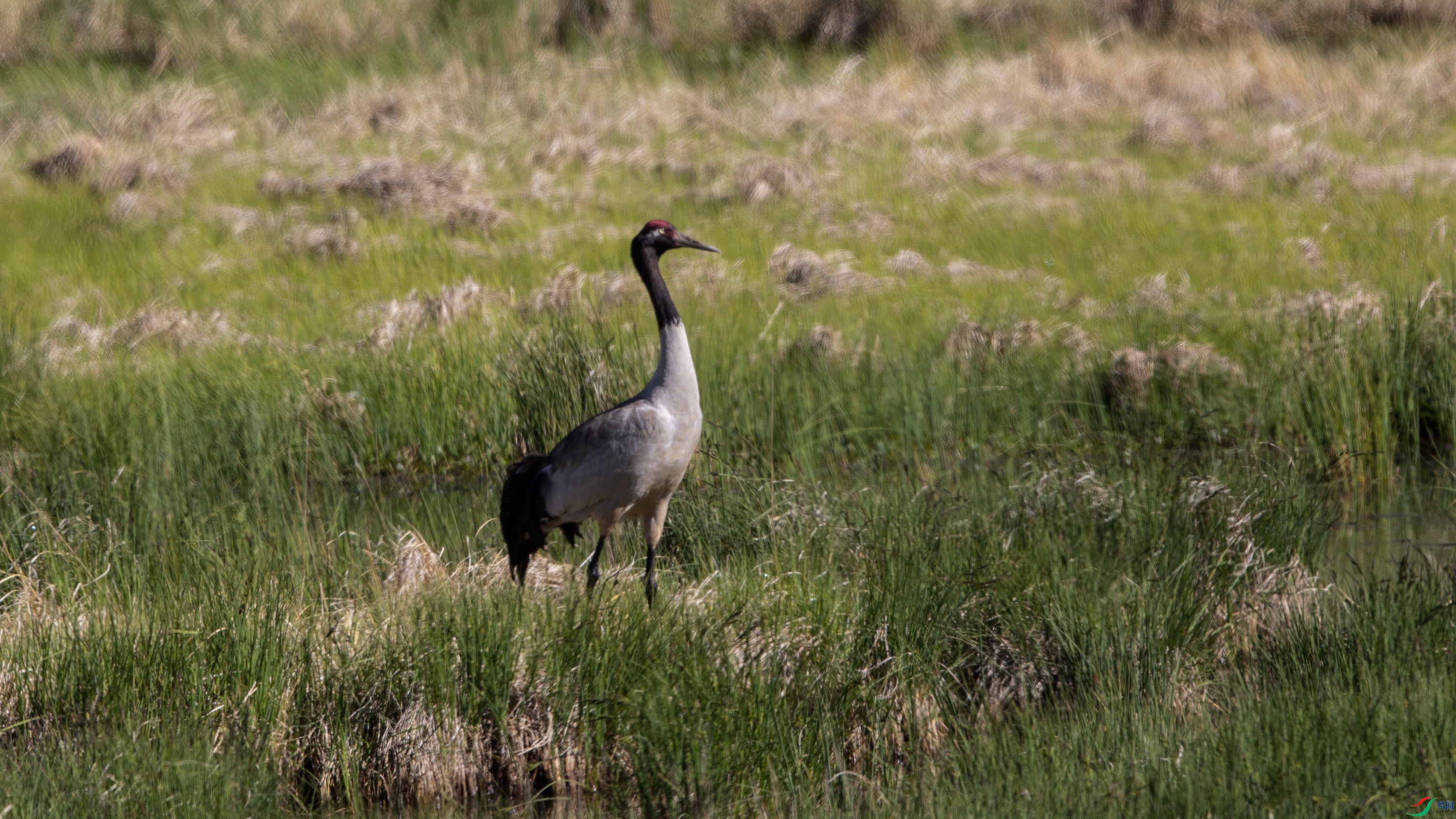 _39A6784 ����.jpg