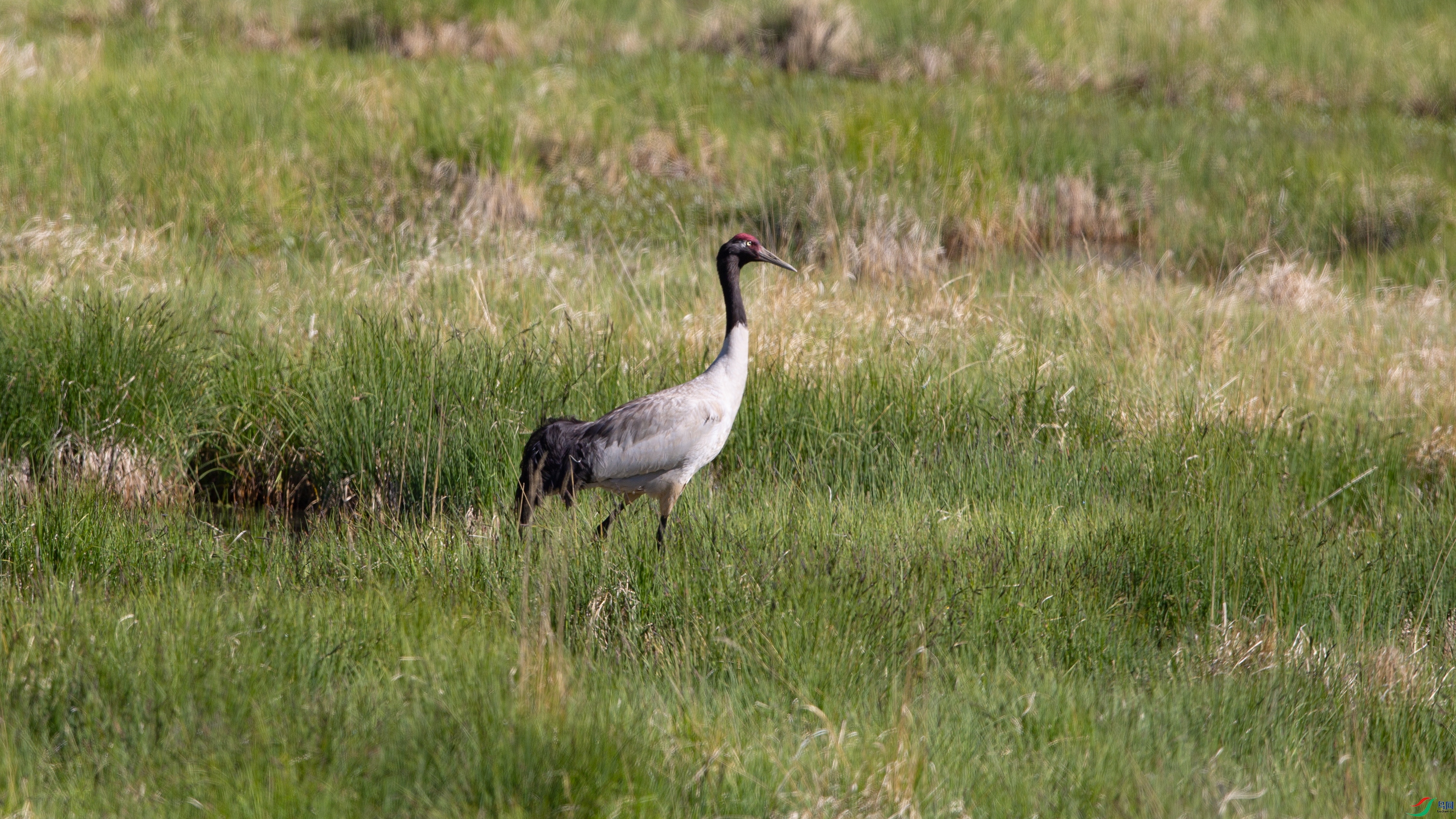 _39A6948 ����.jpg