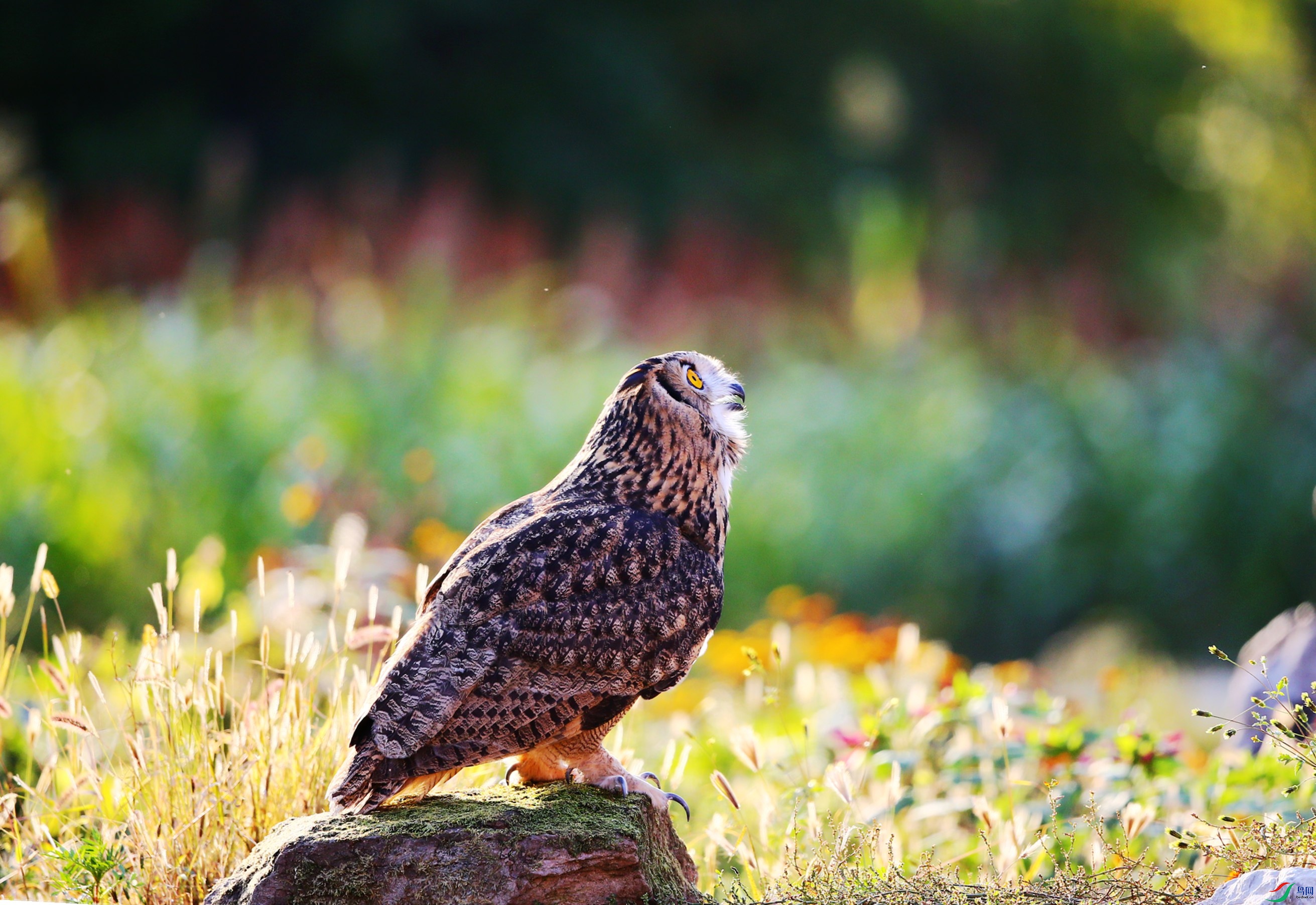 ���^  (97).JPG