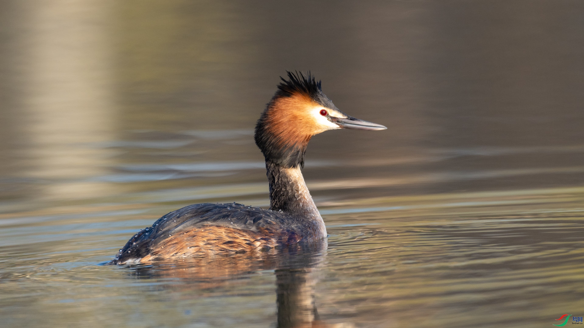 t_128640.jpg