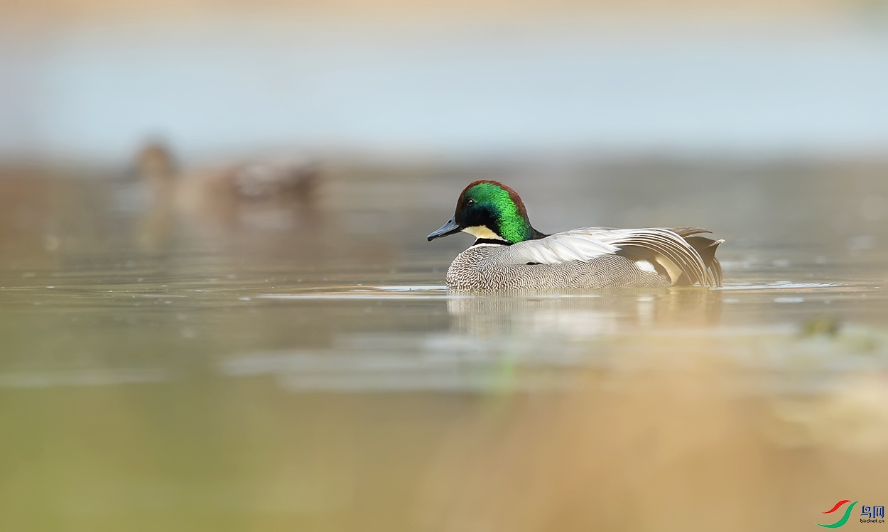 DSC_7383.jpg