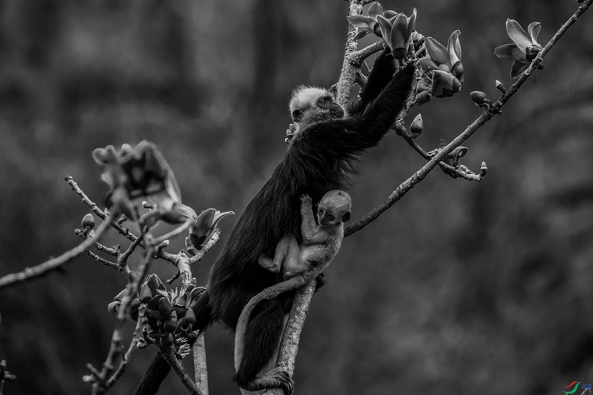 DSC09025 ���� 22222 ����.jpg